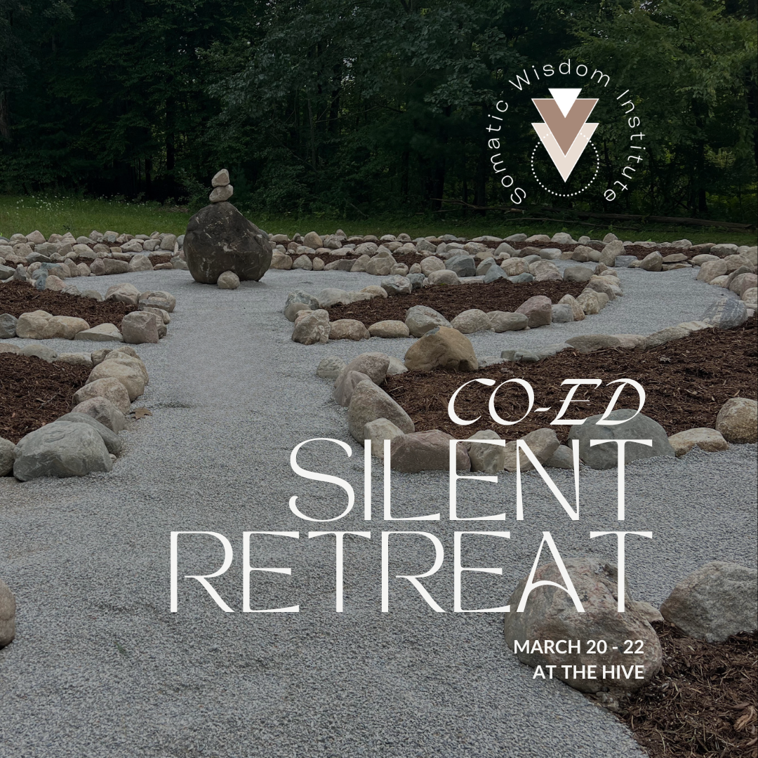 From Noise to Nourishment: How Our Silent Retreat Fits the Evolving Wellness Travel Narrative