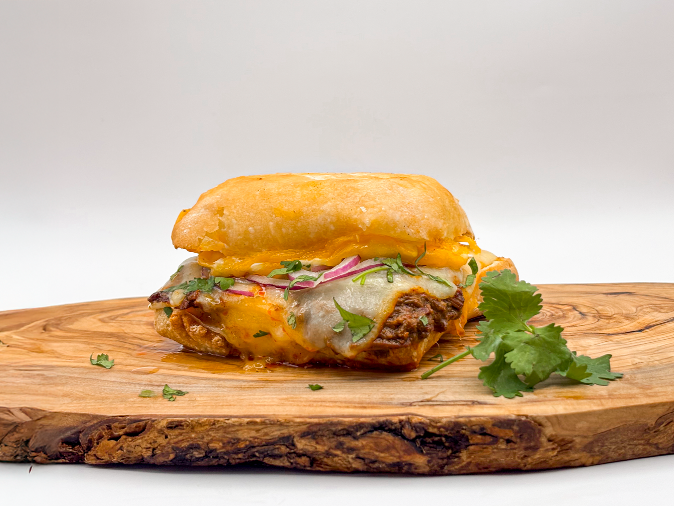 birria ciabatta melt