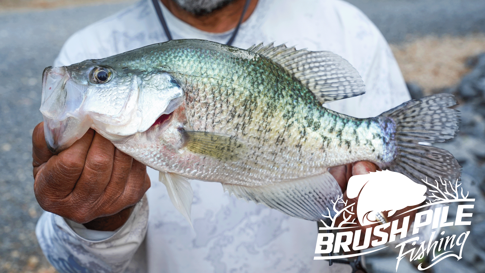 Brush Pile.png