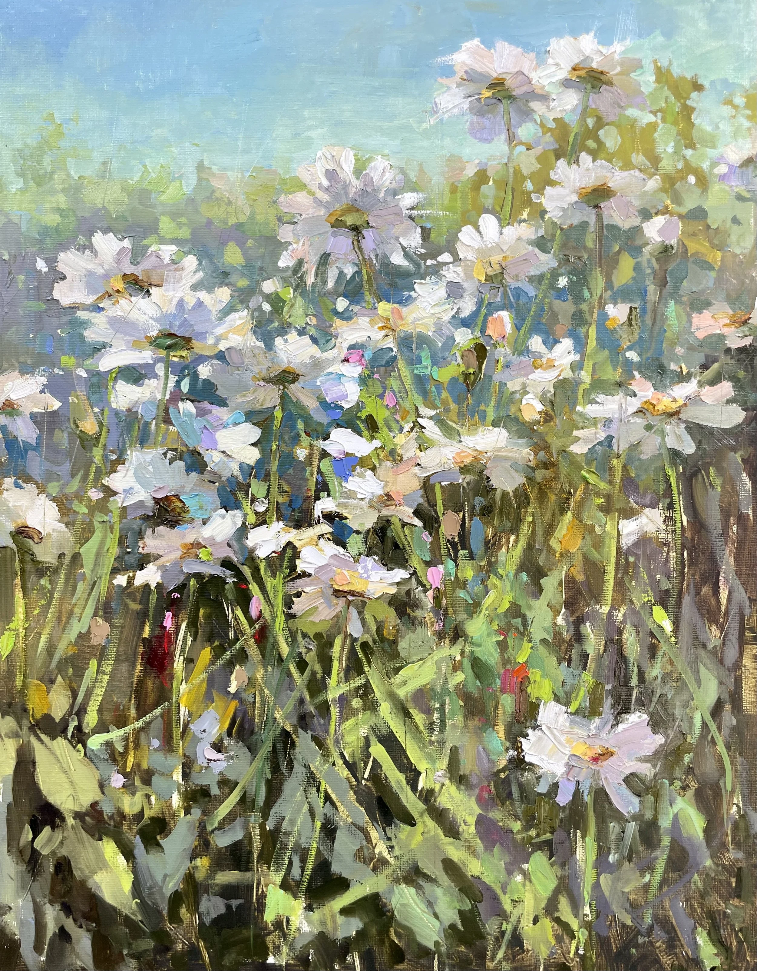 Wild Daisies 20x16