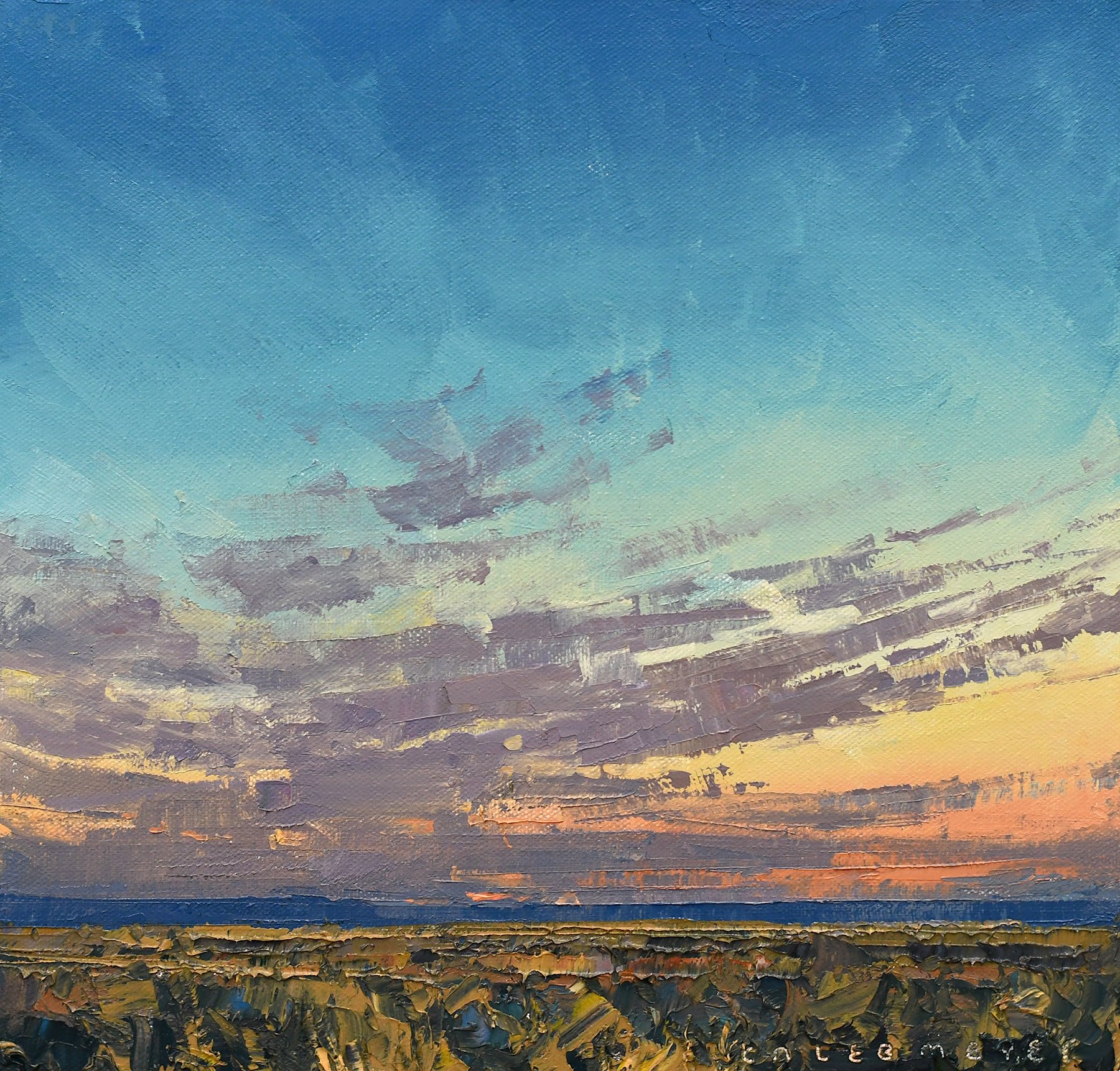 A Sky of Compliments Study 12x12.jpg