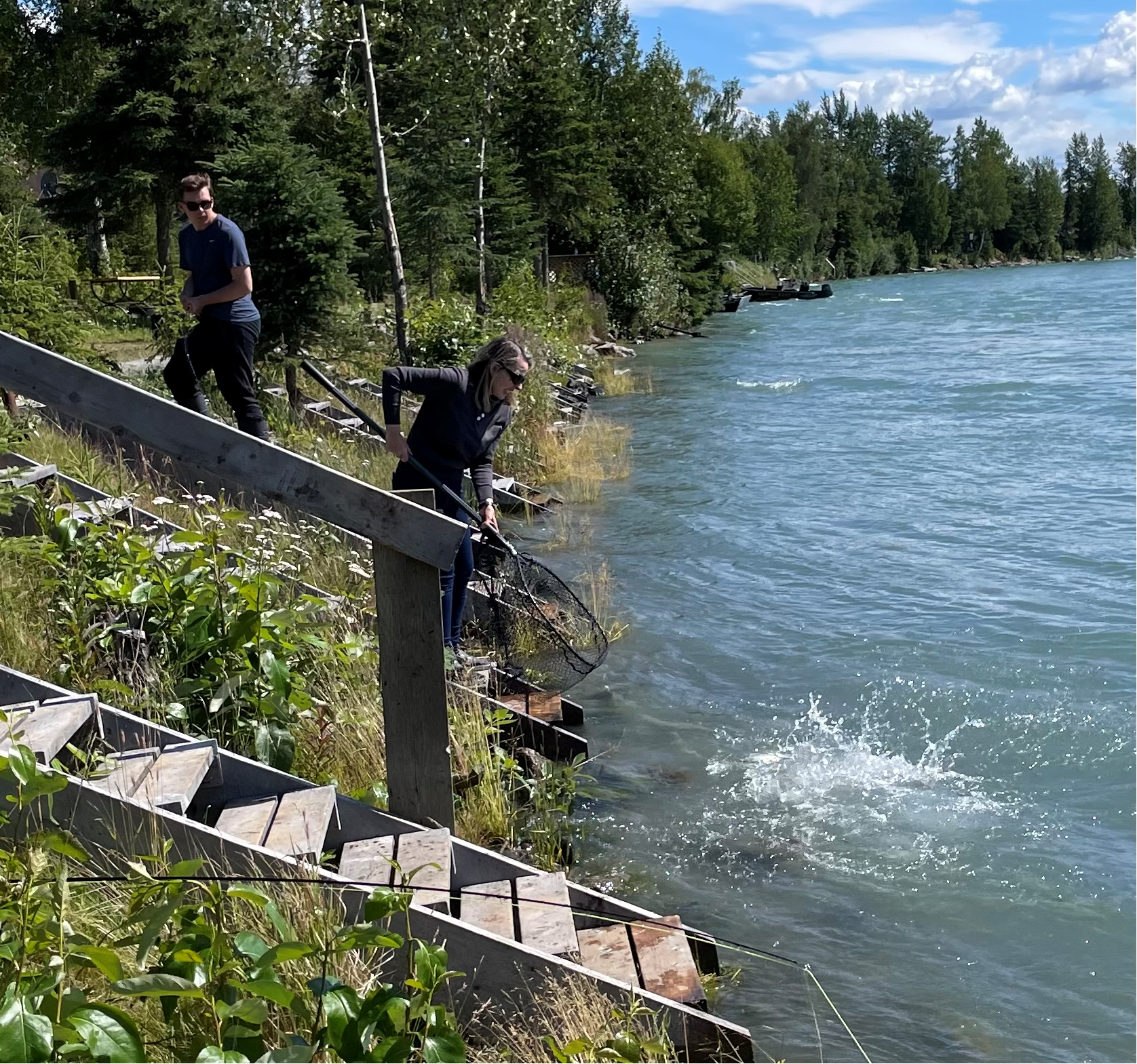Netting the Catch.jpg