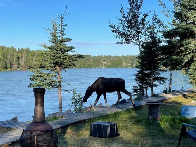 Private RV Fishing Soldotna.jpg
