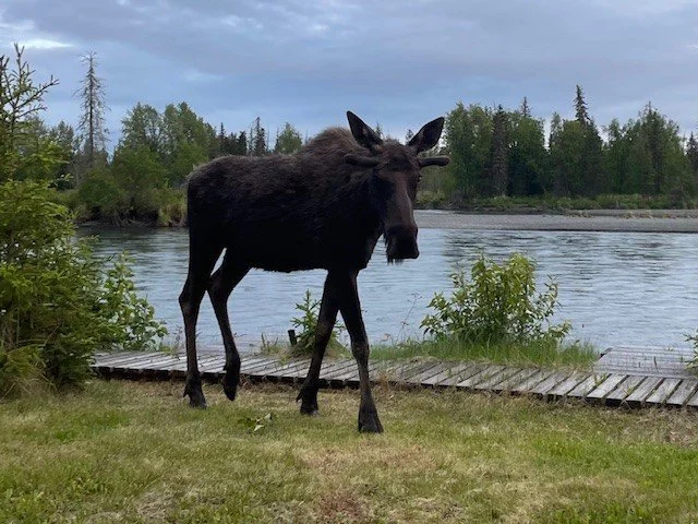 RV-camping-Kenai River-fishing-Soldotna.jpg
