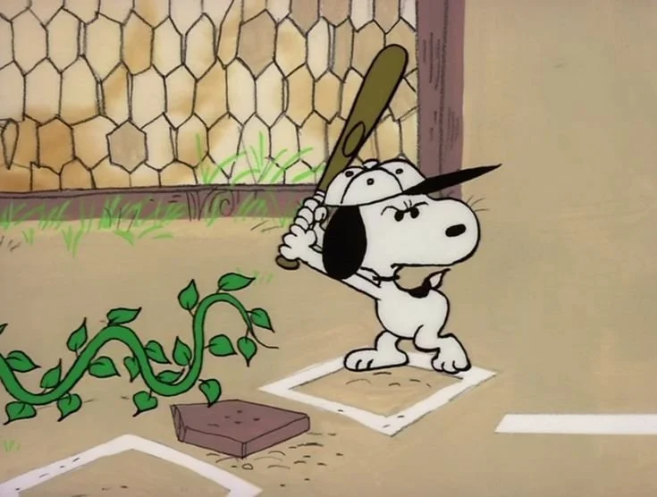 My Baseball Love Affair