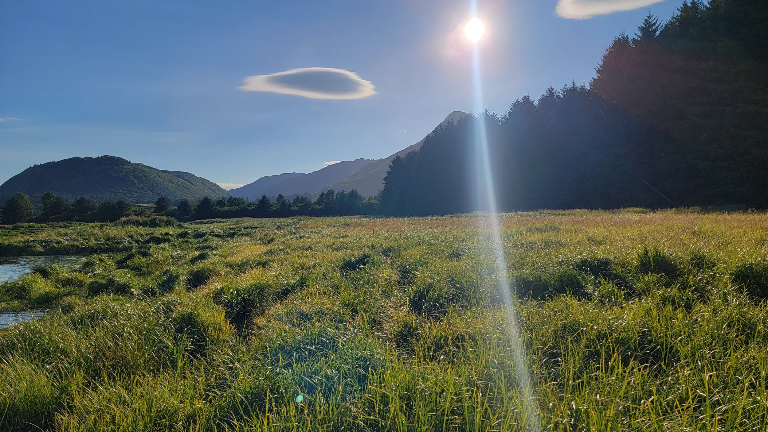 Kodiak, AL - the first, and only, sunny day