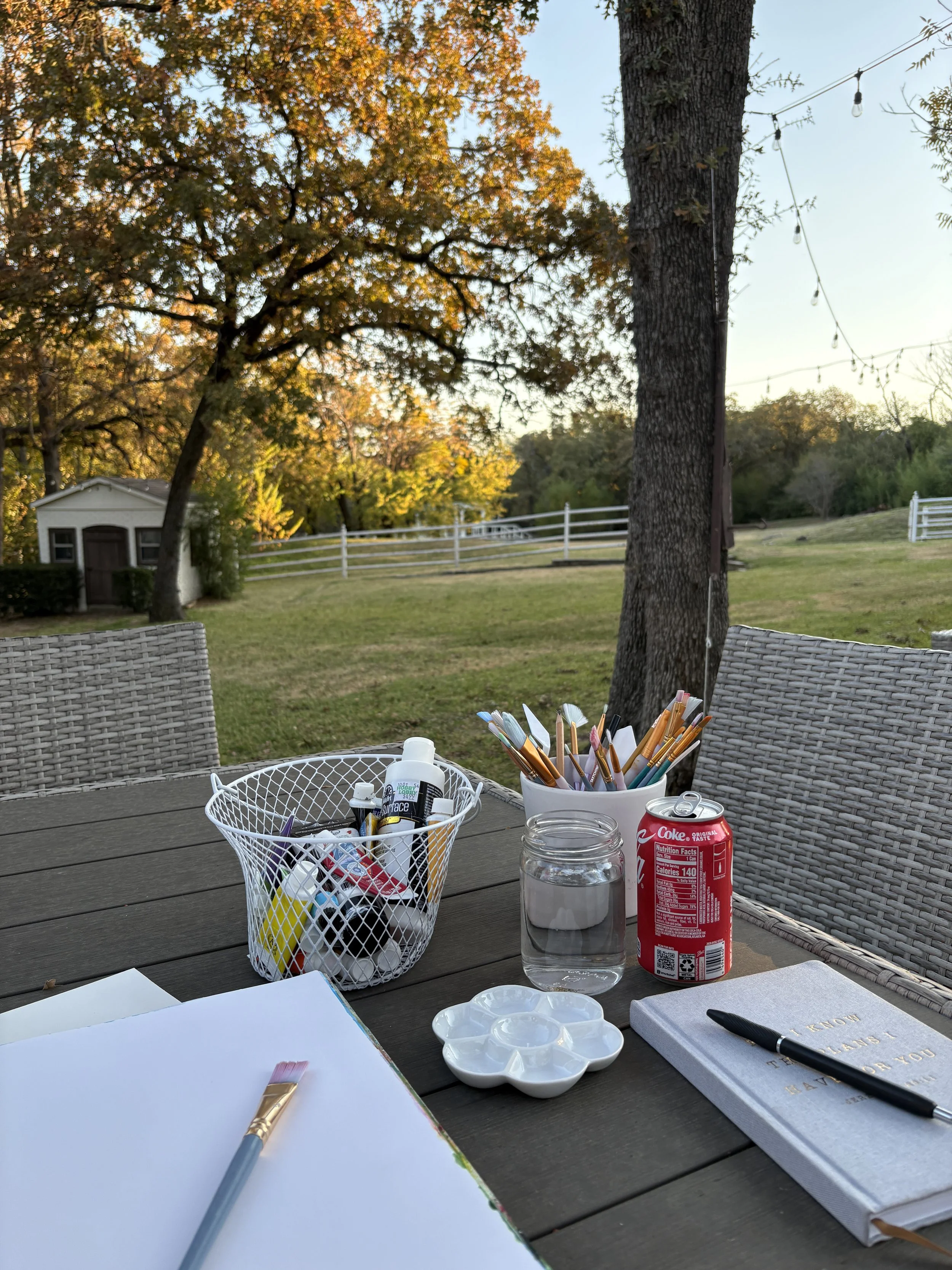Paint Night & Book Pick-Up
