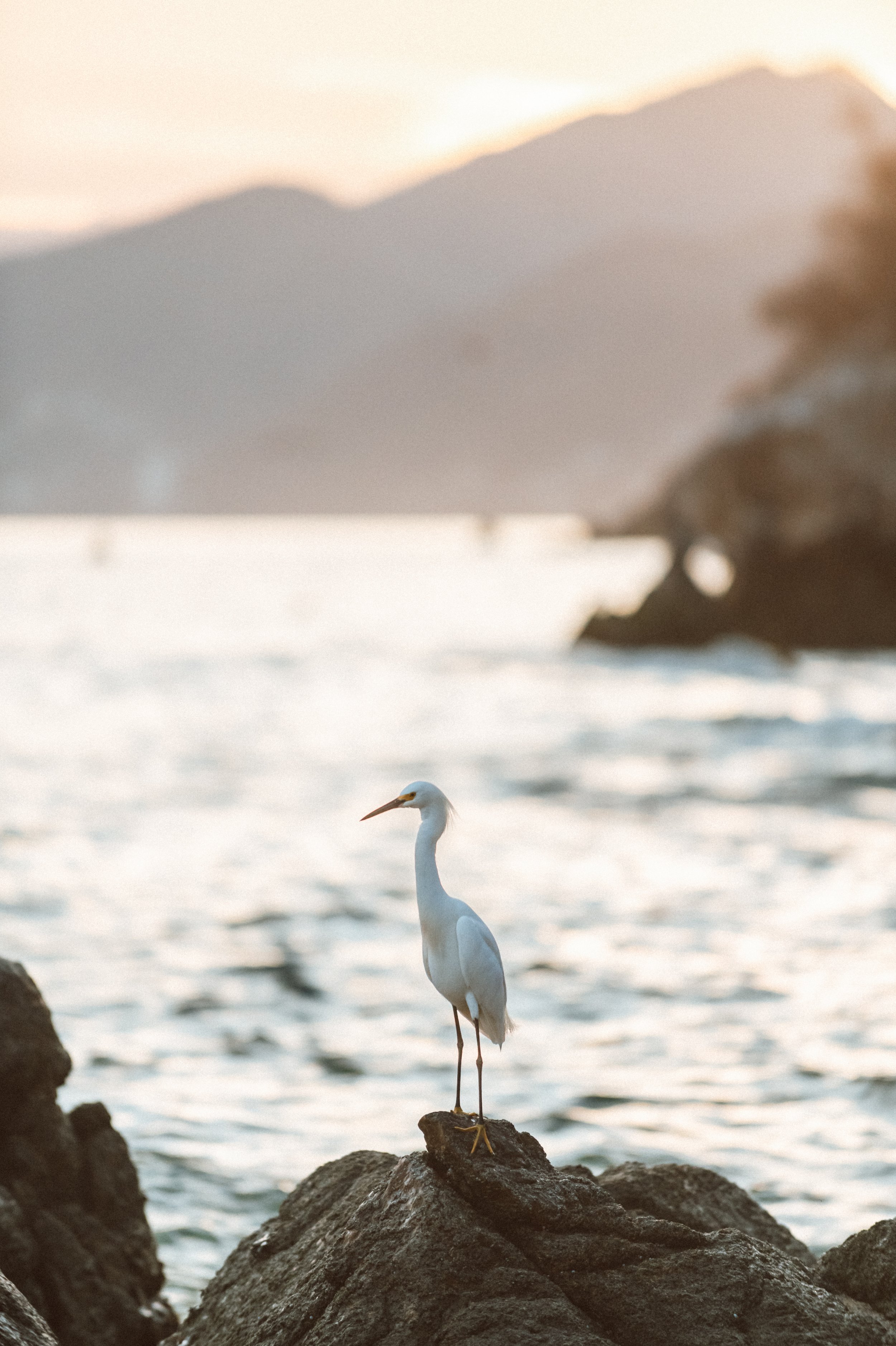 Click Photography-57.jpg