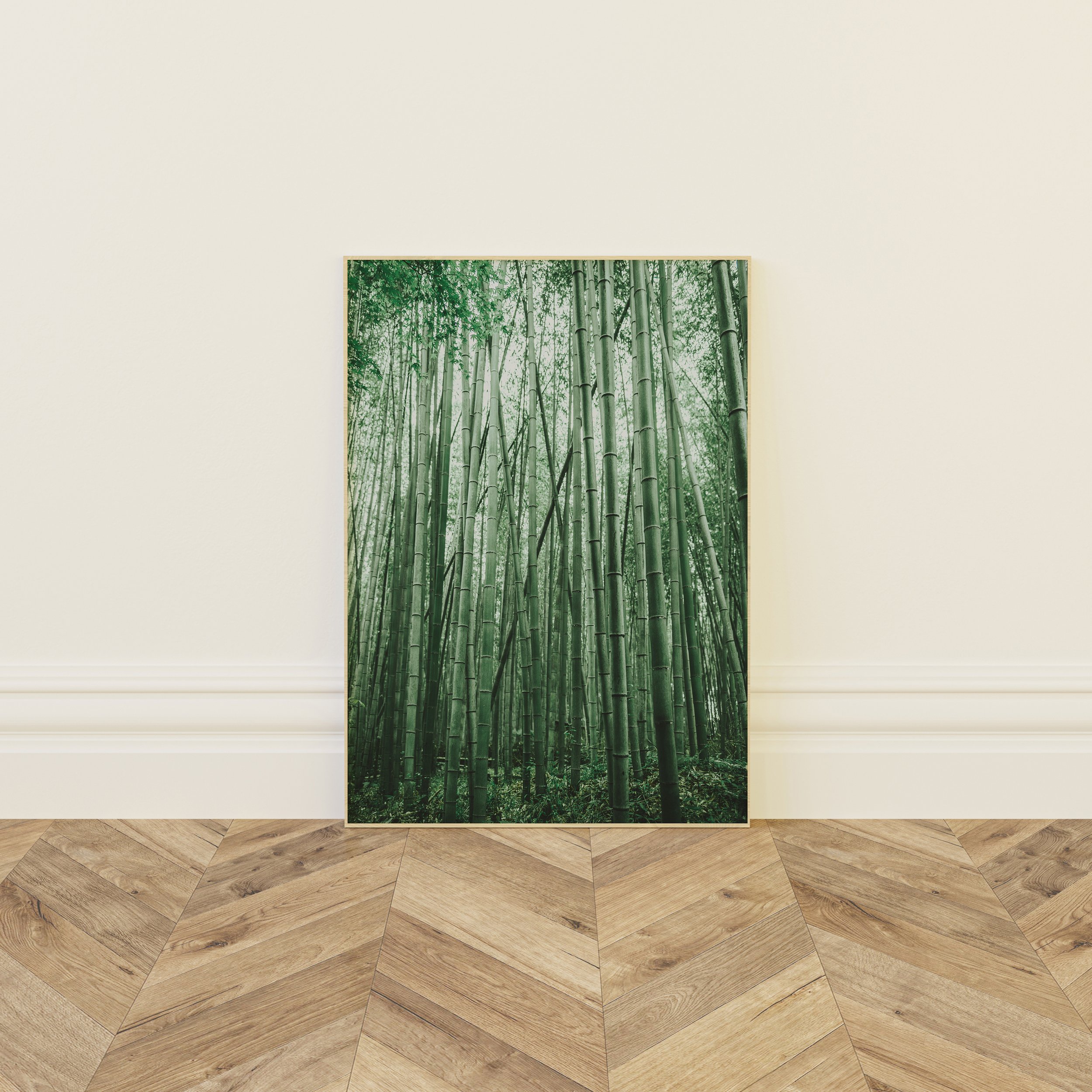 Forest bathing in Kyoto