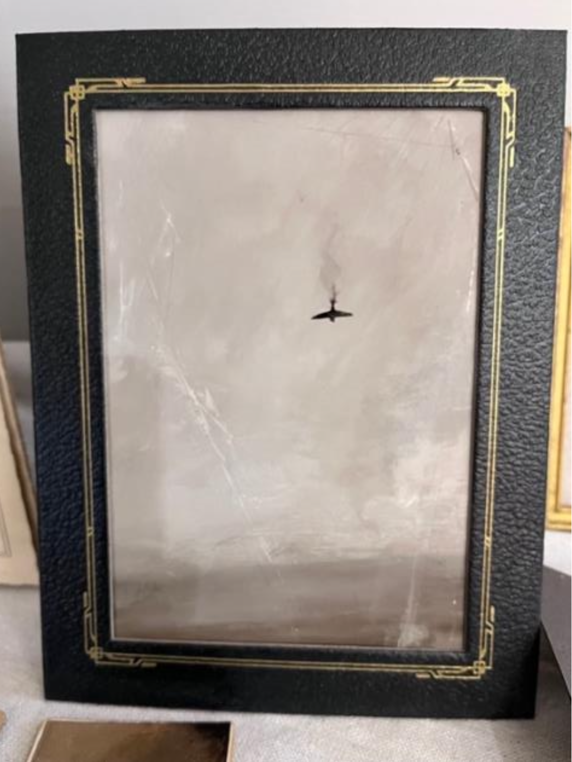 Pilot in Trouble.png