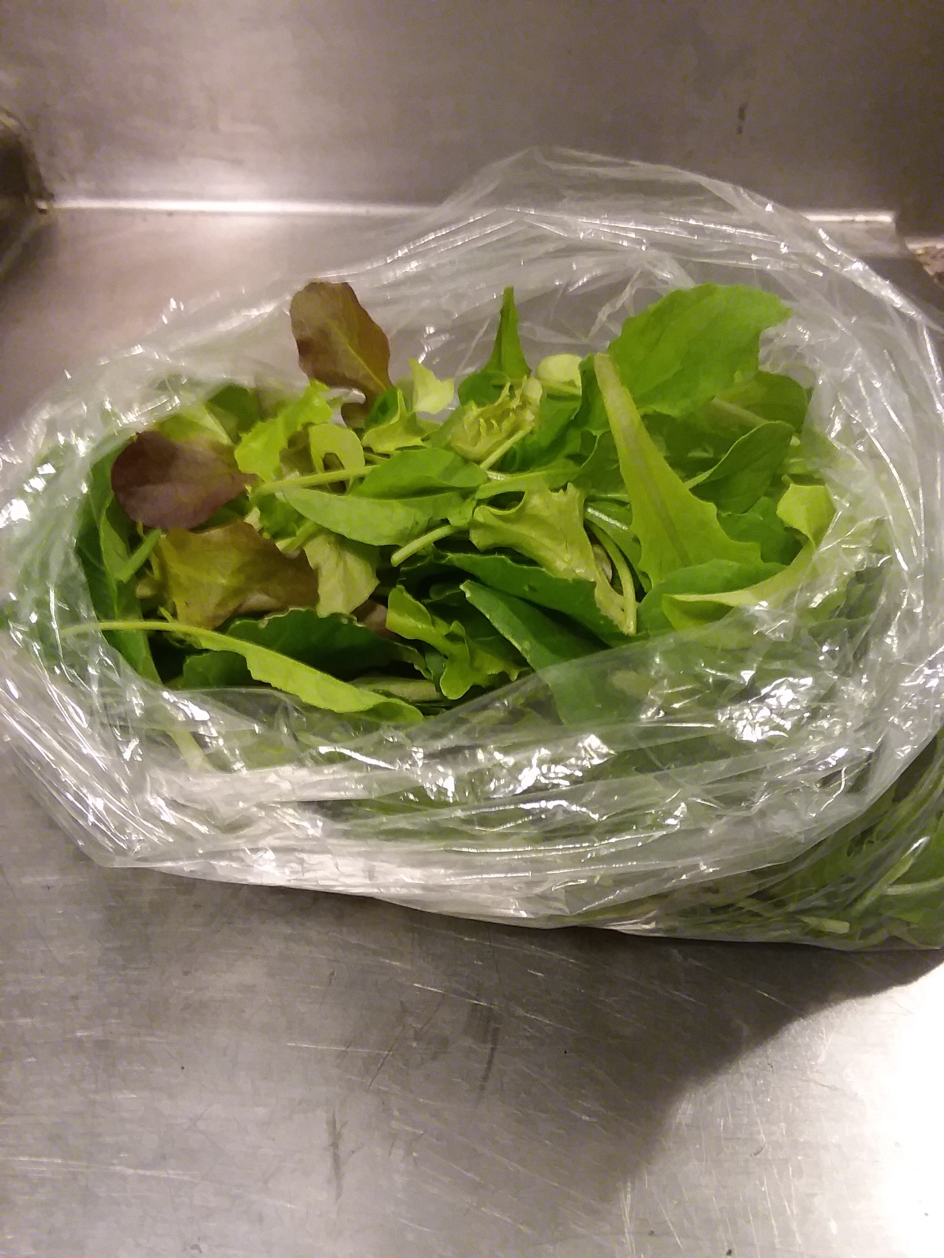 Salad Mix