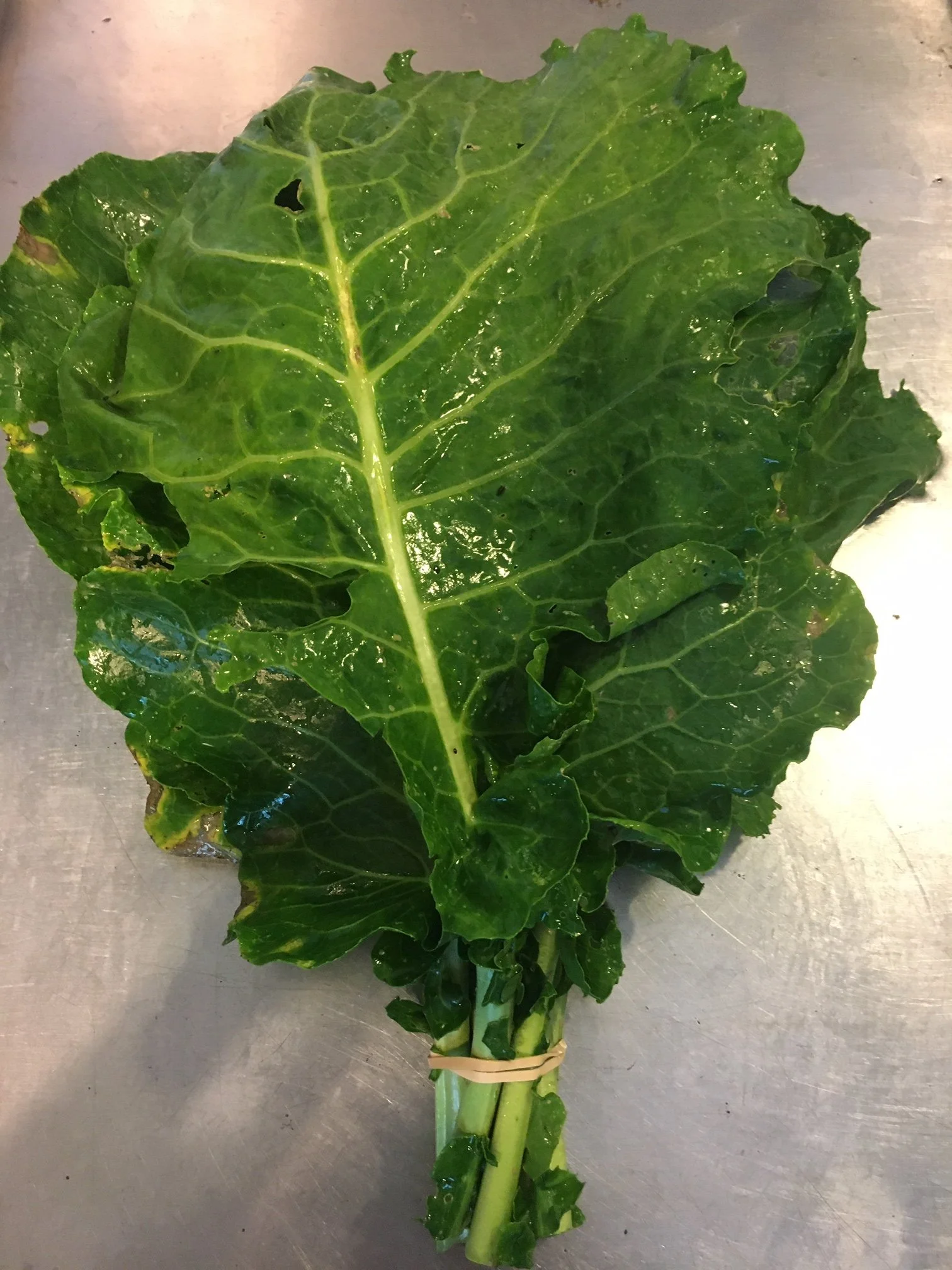 collards.jpg