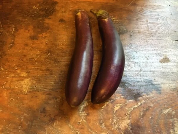 Japanese Eggplant