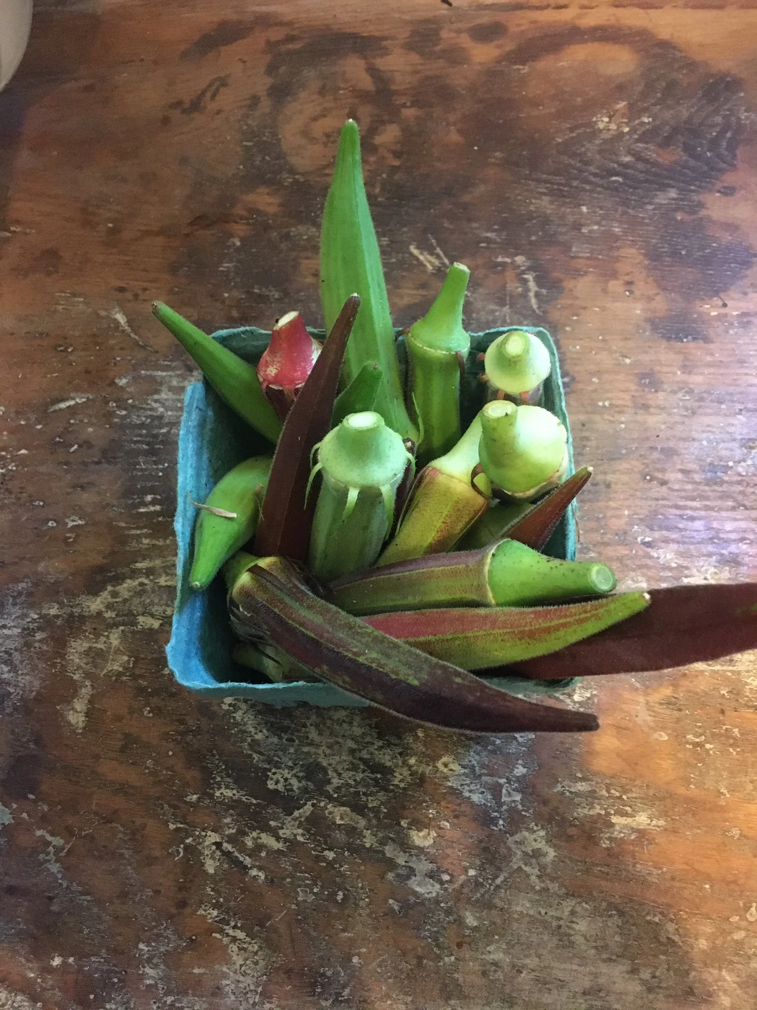 Okra