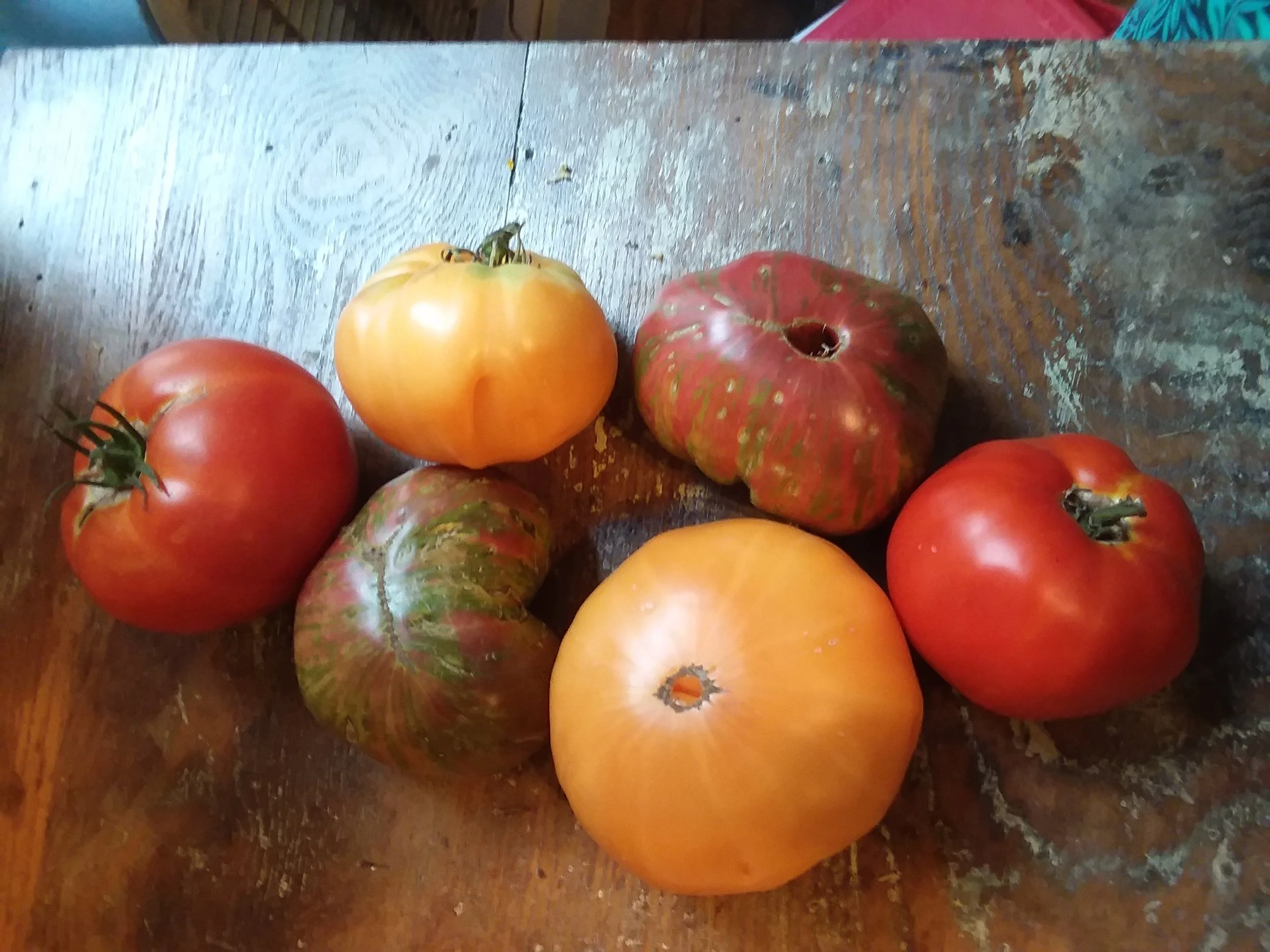 Tomatoes