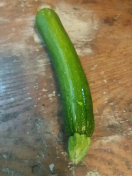 Zucchini