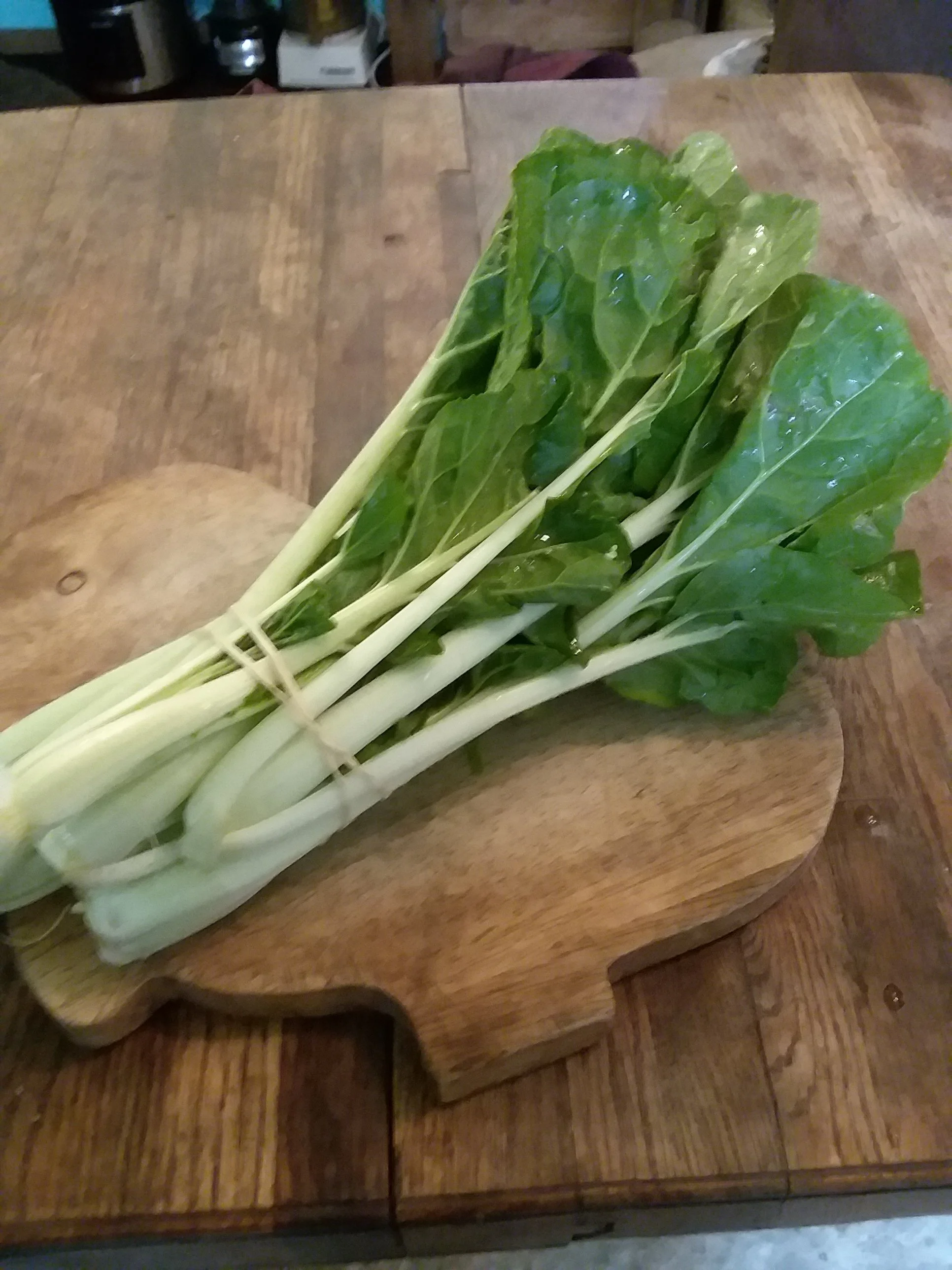 Bok Choi