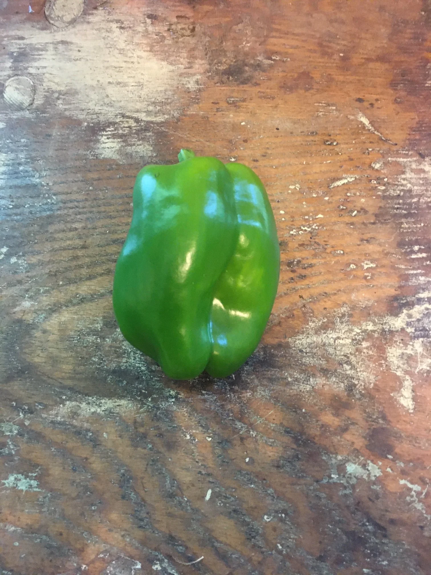 Green Bell Pepper