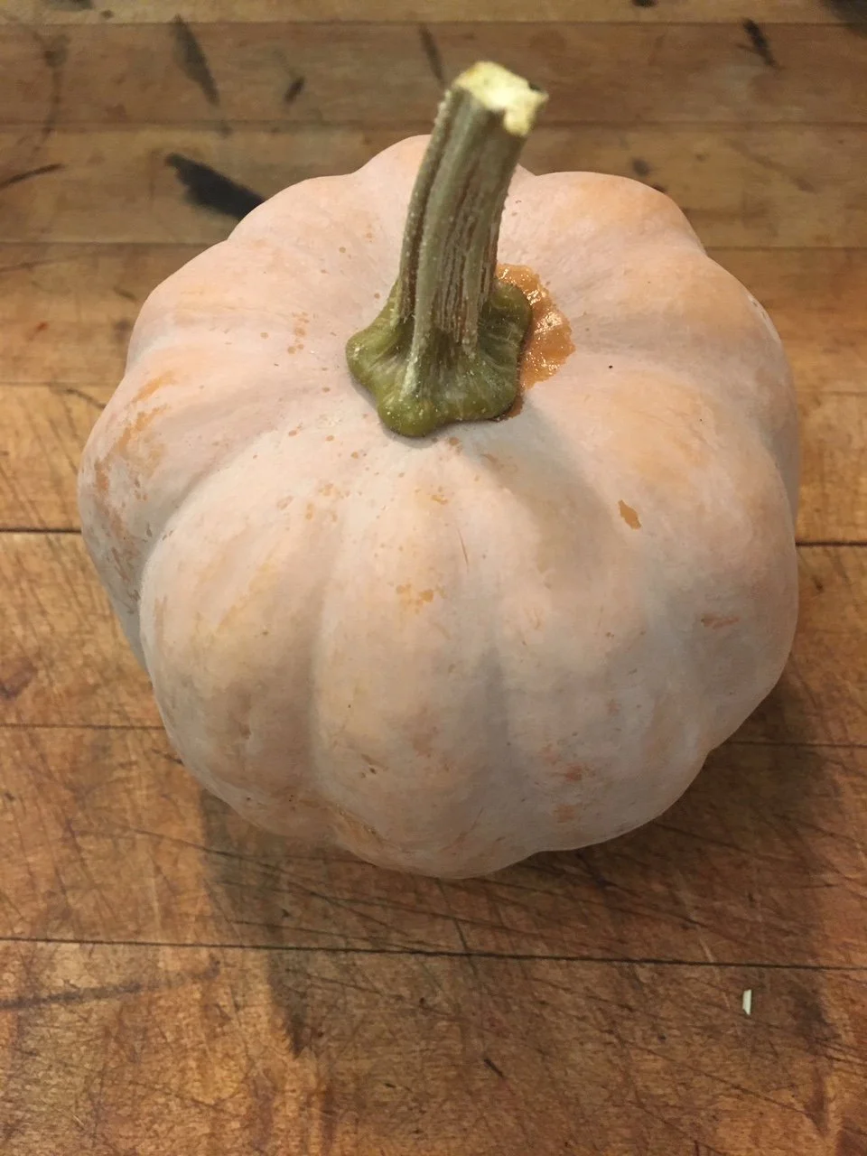 Pie Pumpkins
