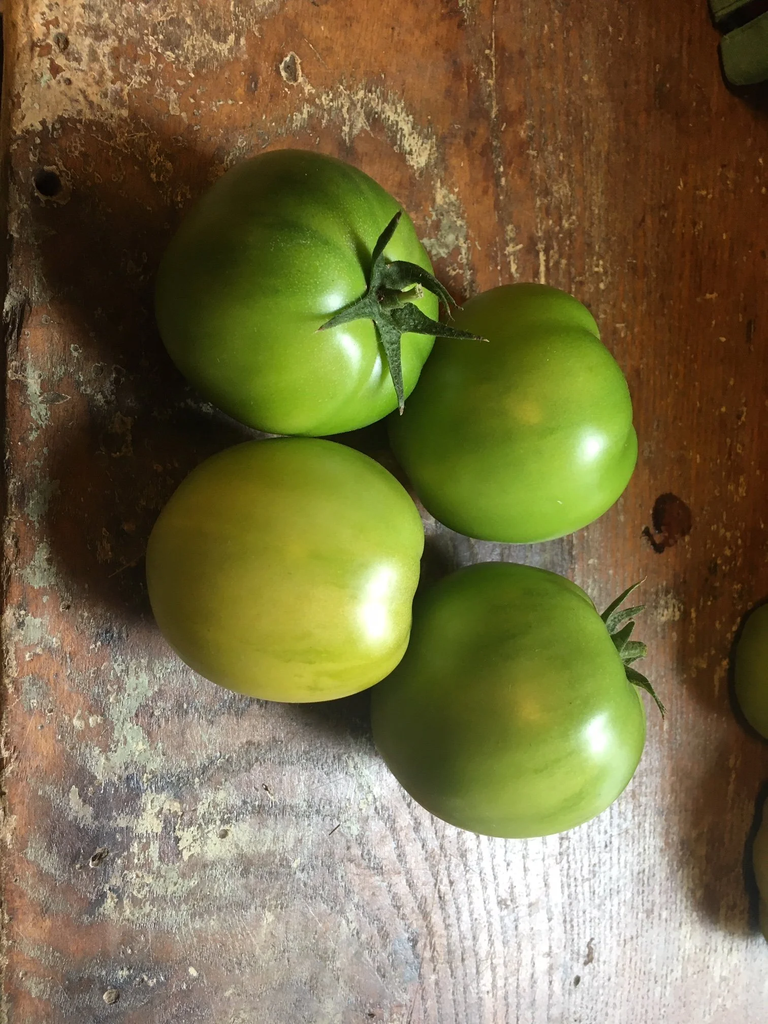 Green Tomatoes