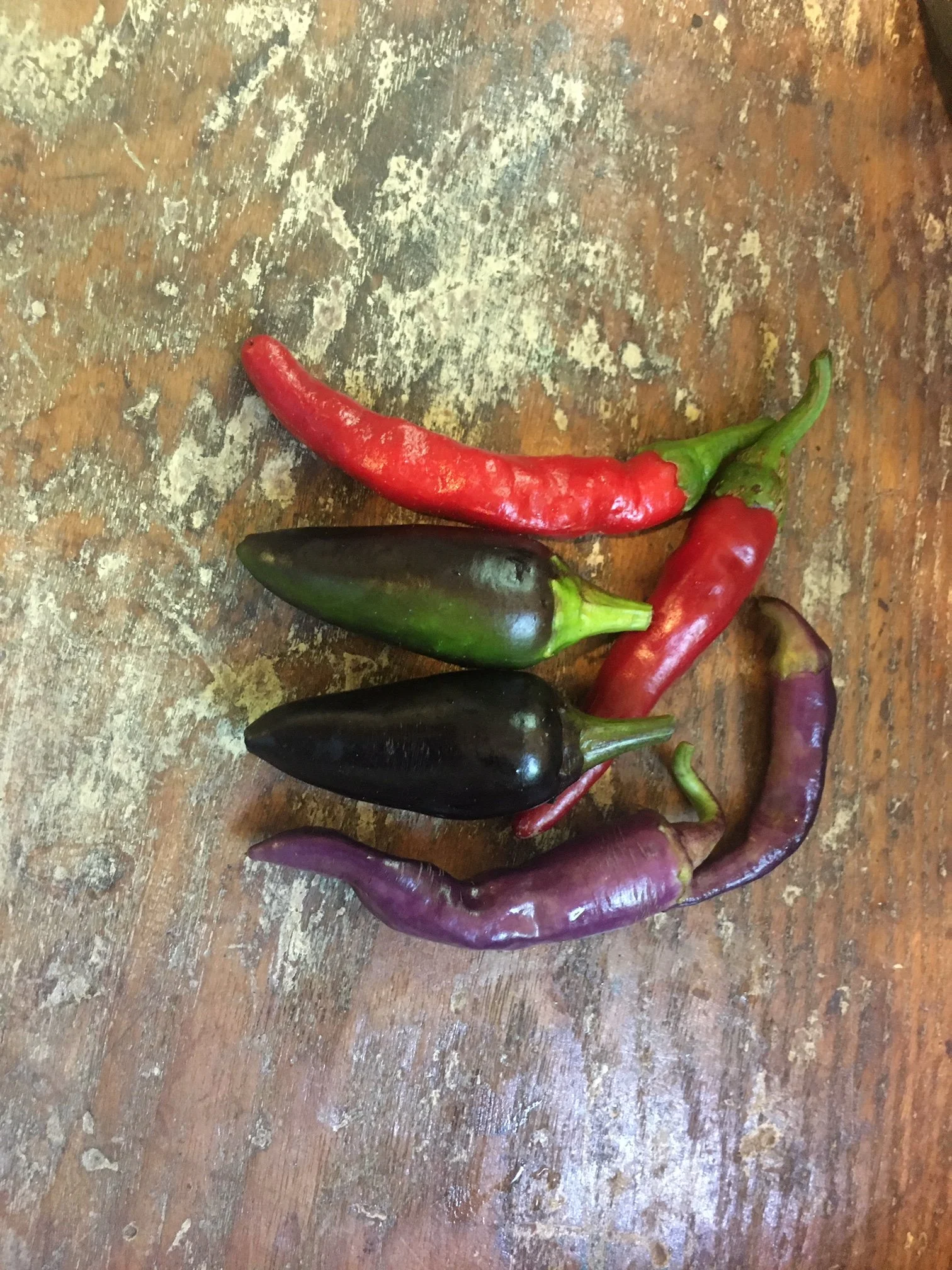Hot Peppers
