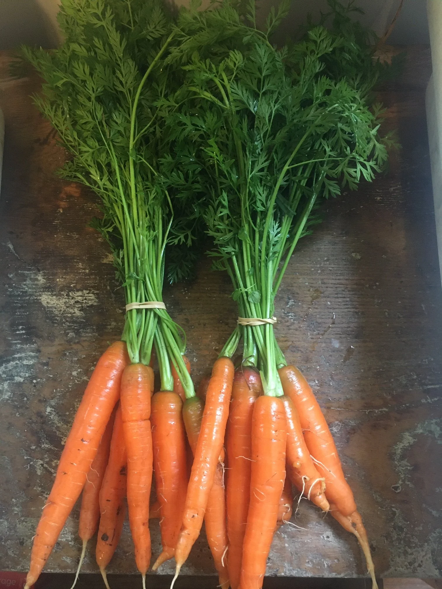 Carrots
