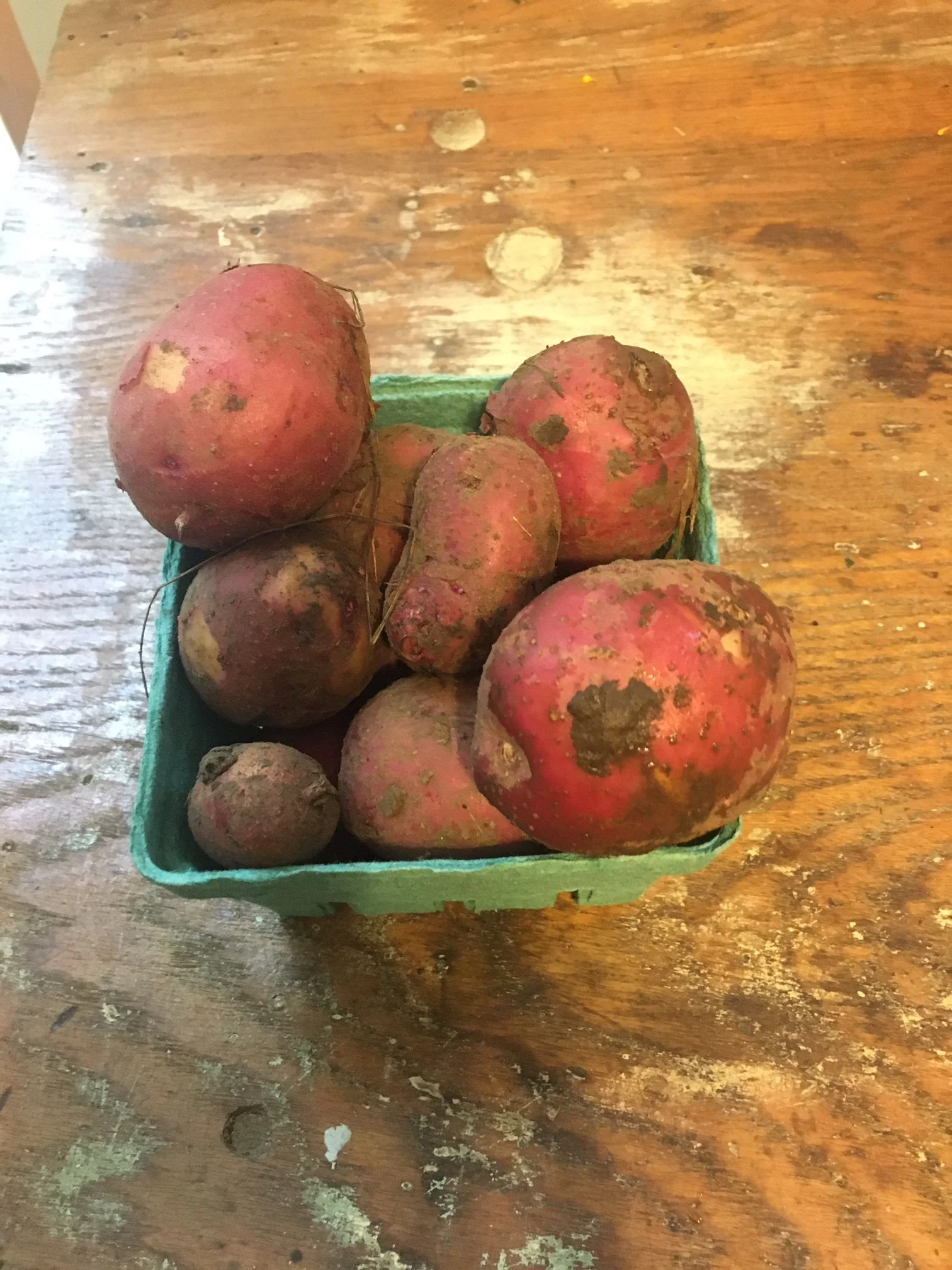 Red Potatoes