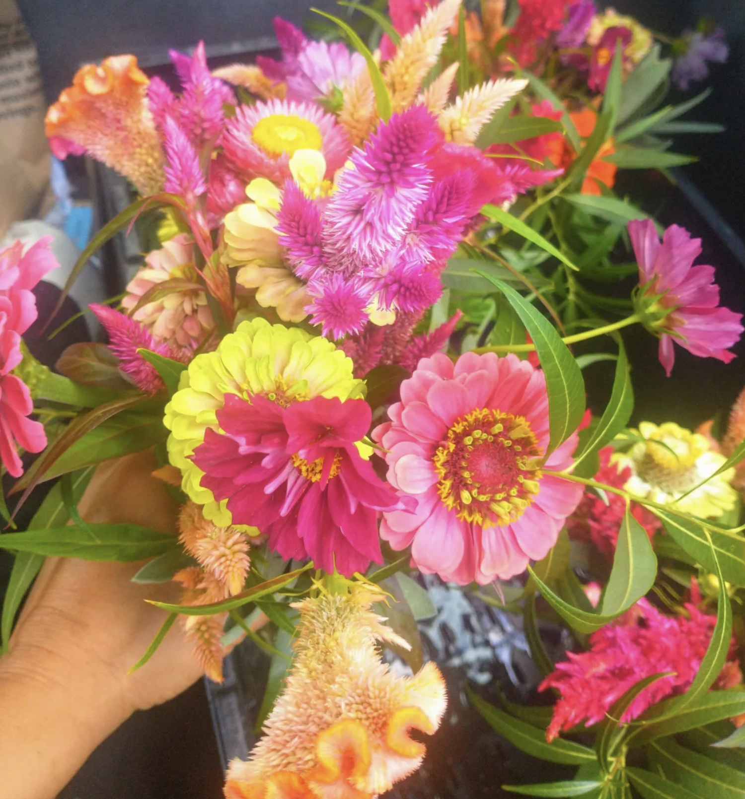 2025 Flower CSA