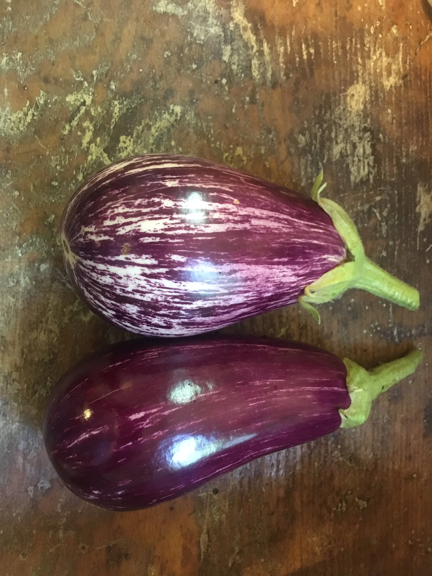 Italian Eggplant
