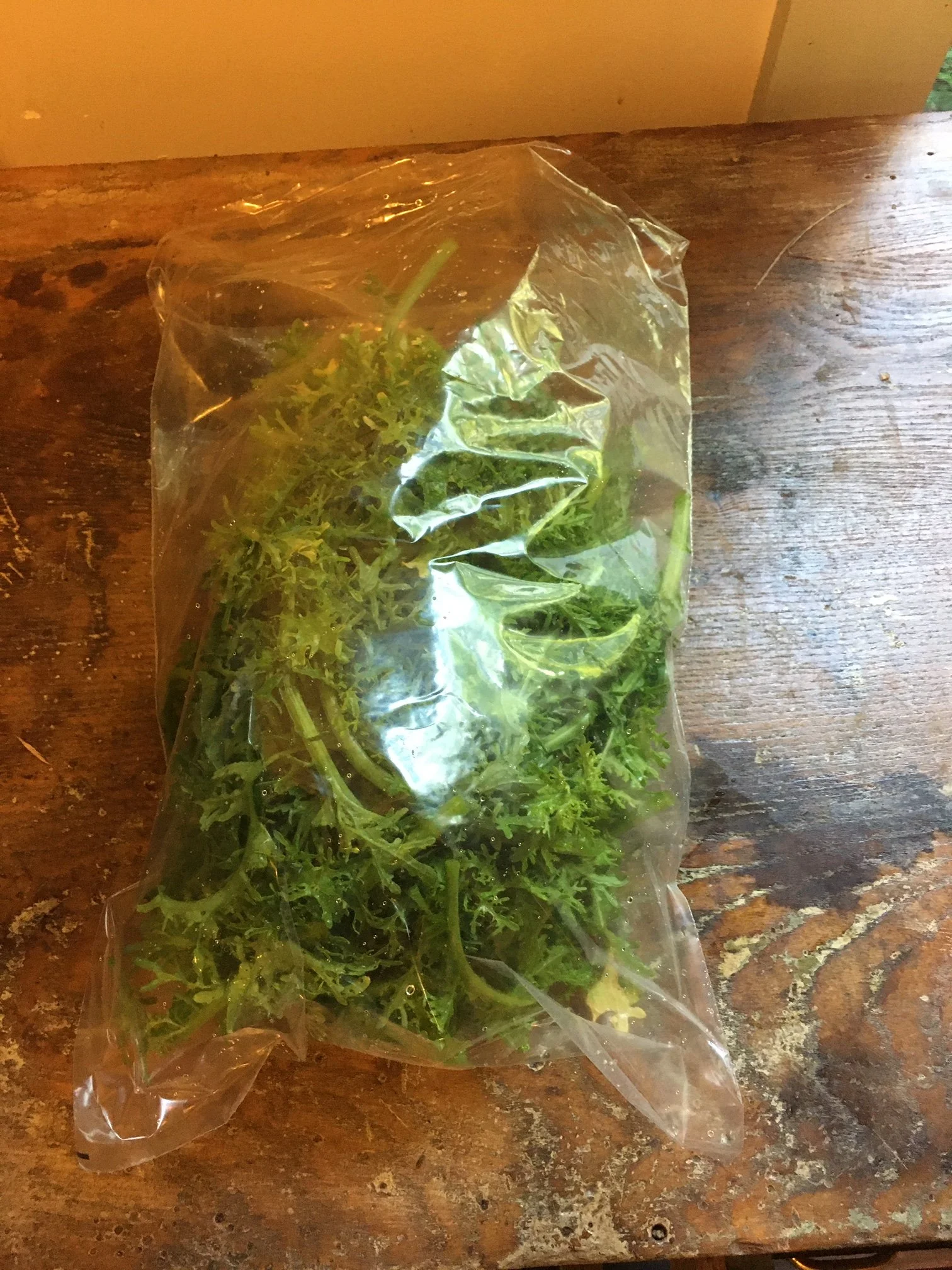 Mustard Greens