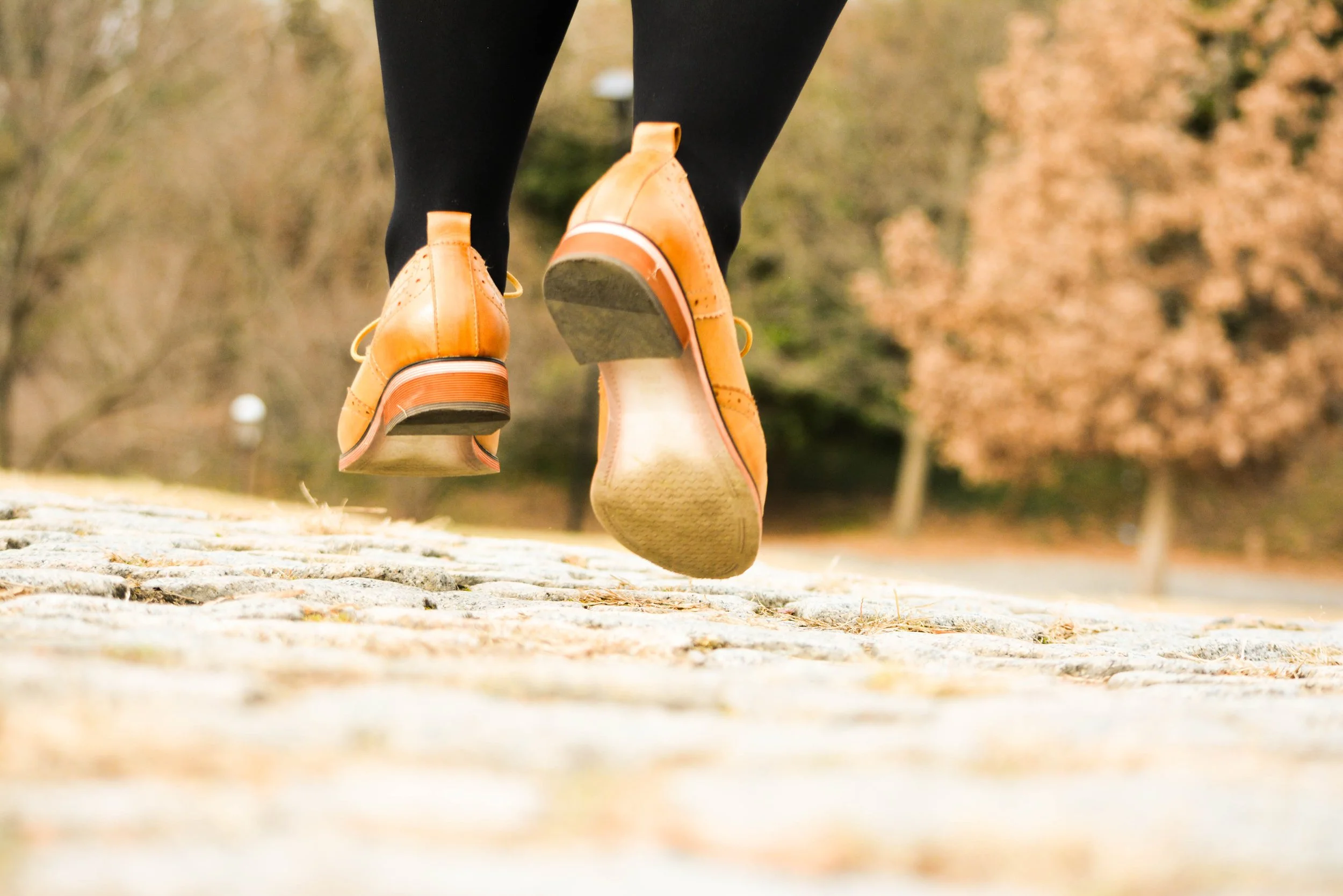 Drop-In Class Registration