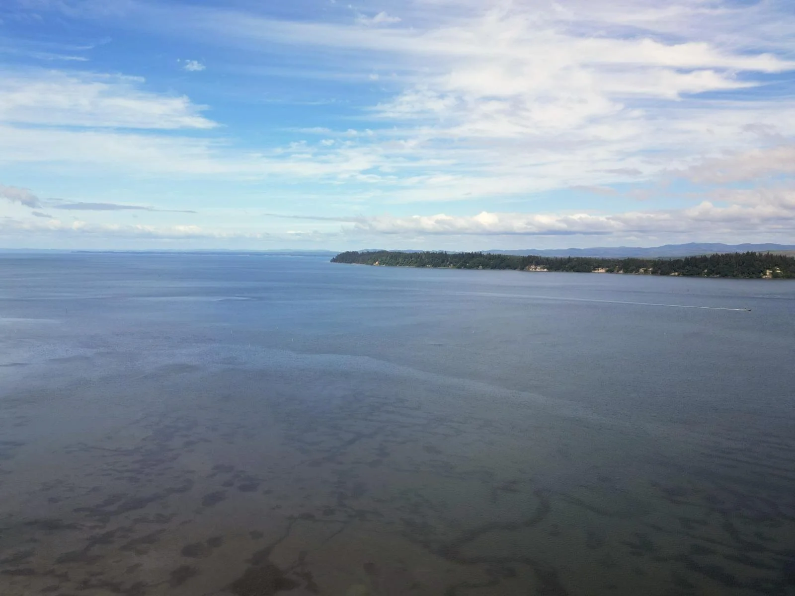 DJI_0659.jpg