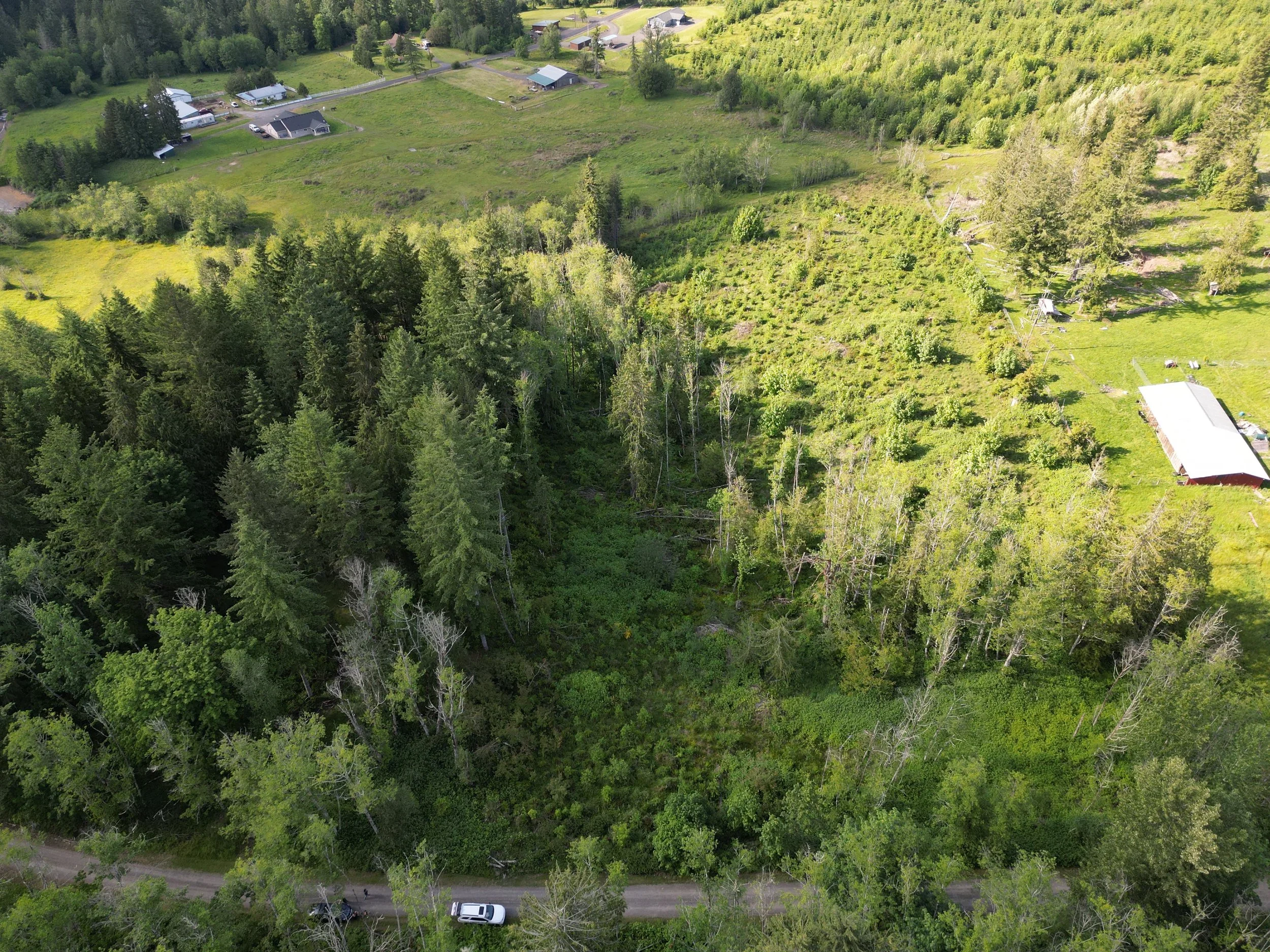 DJI_0474.webp