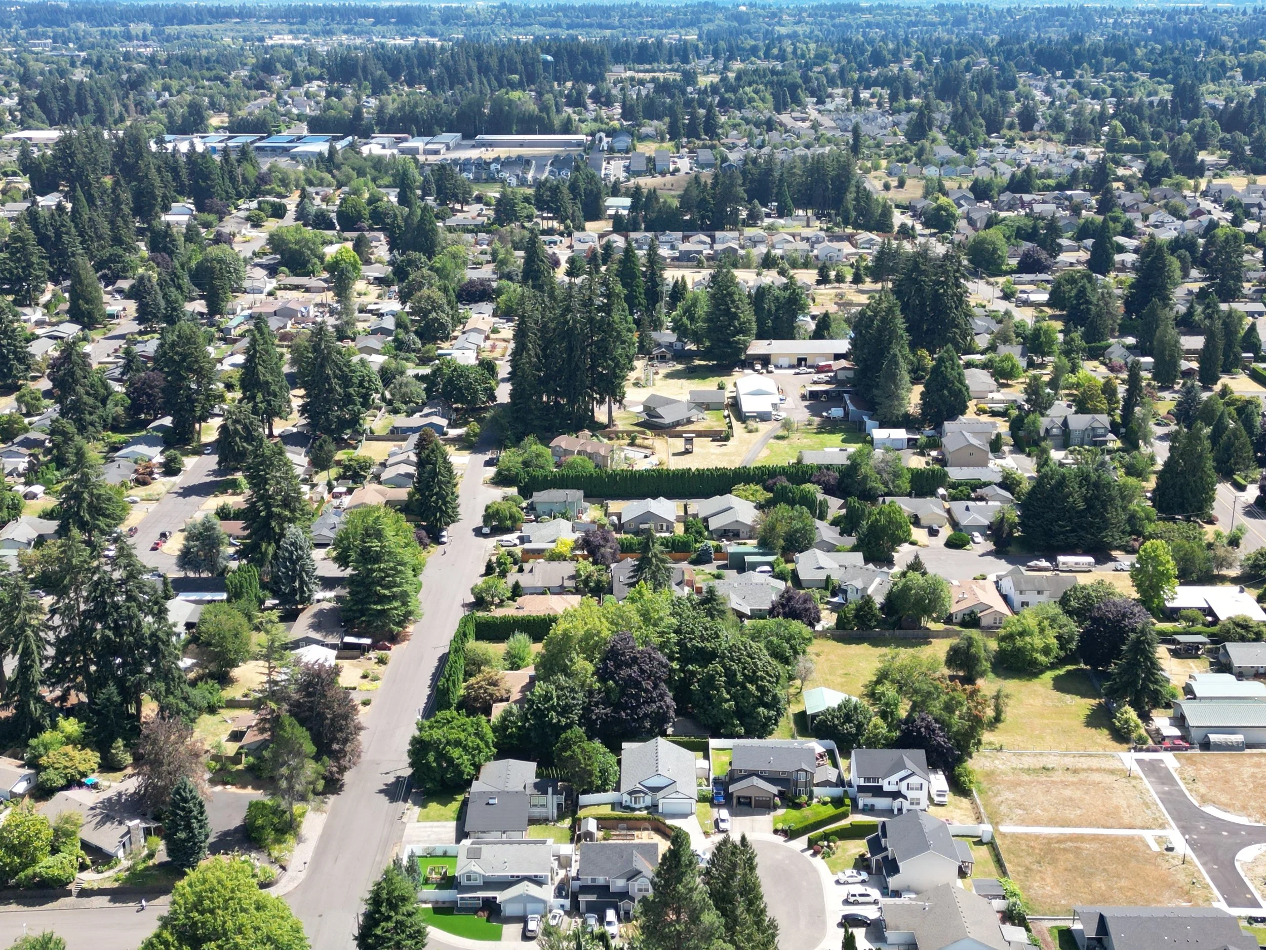 DJI_0917.JPG