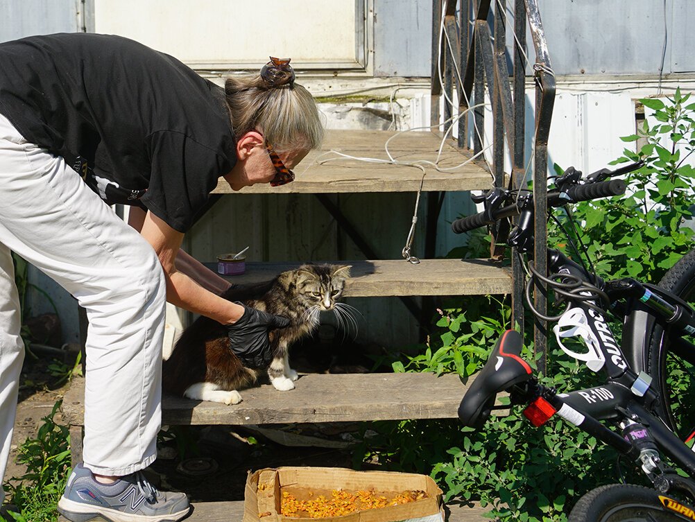 CPR member Christine Samuelson works with a community cat!
