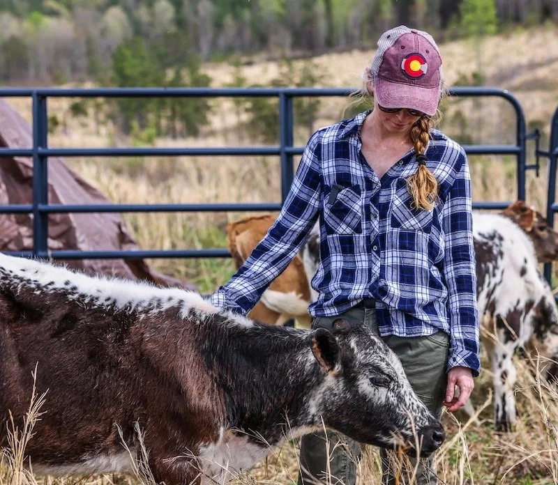 Why Field Harvesting Matters: Prioritizing Welfare and Quality