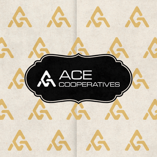 Ace.png