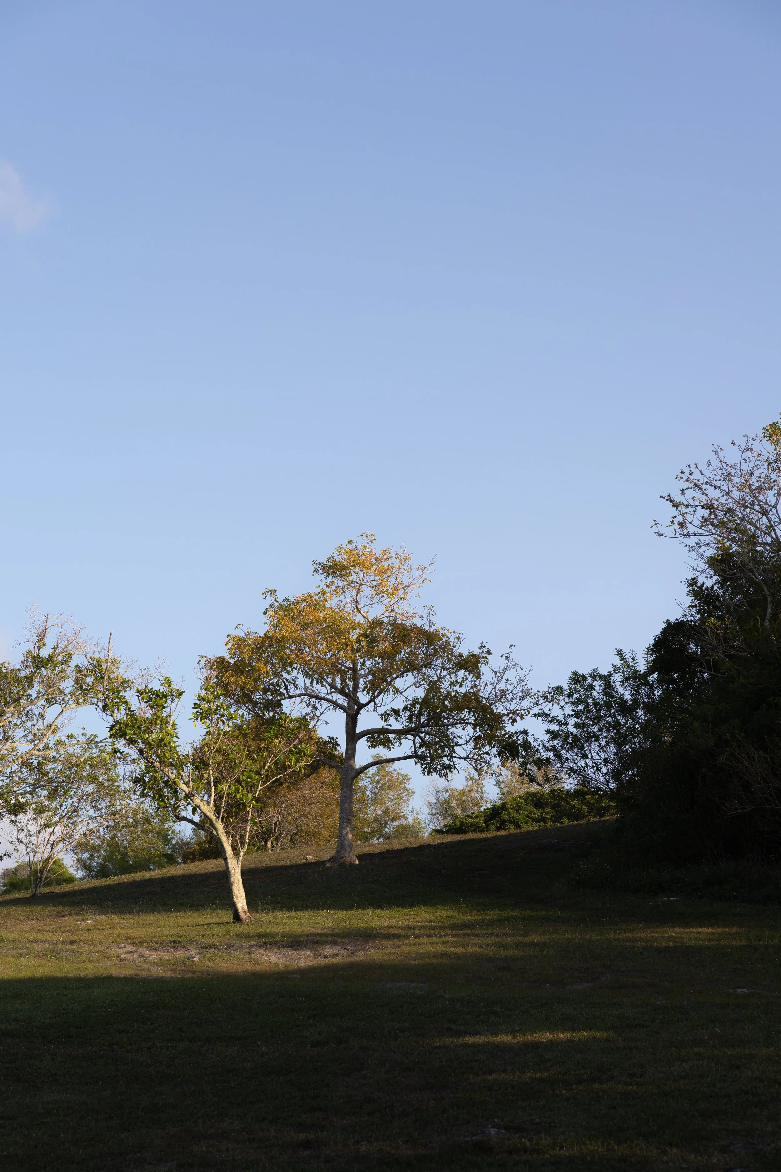 3Y9A7277.jpg