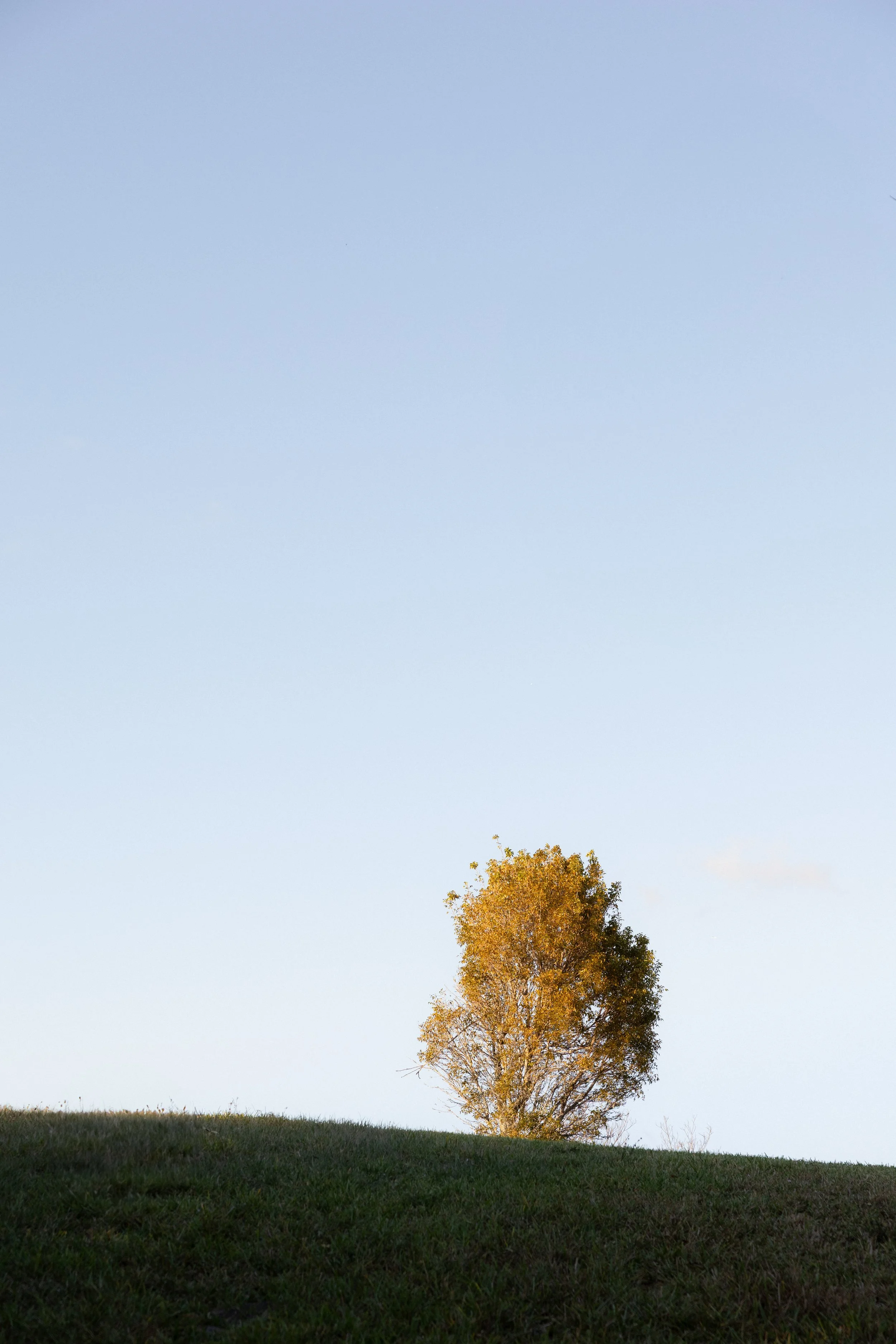 3Y9A7310.jpg