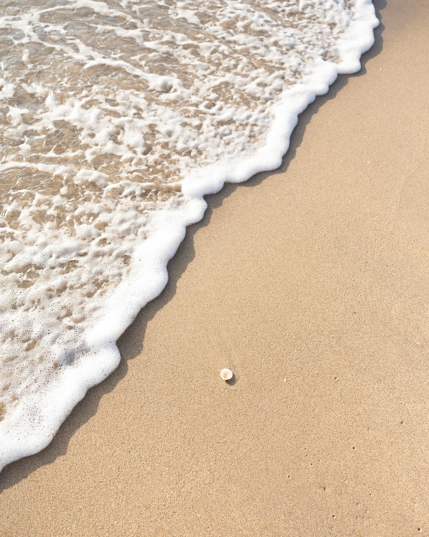 Soft waves &amp; small treasures