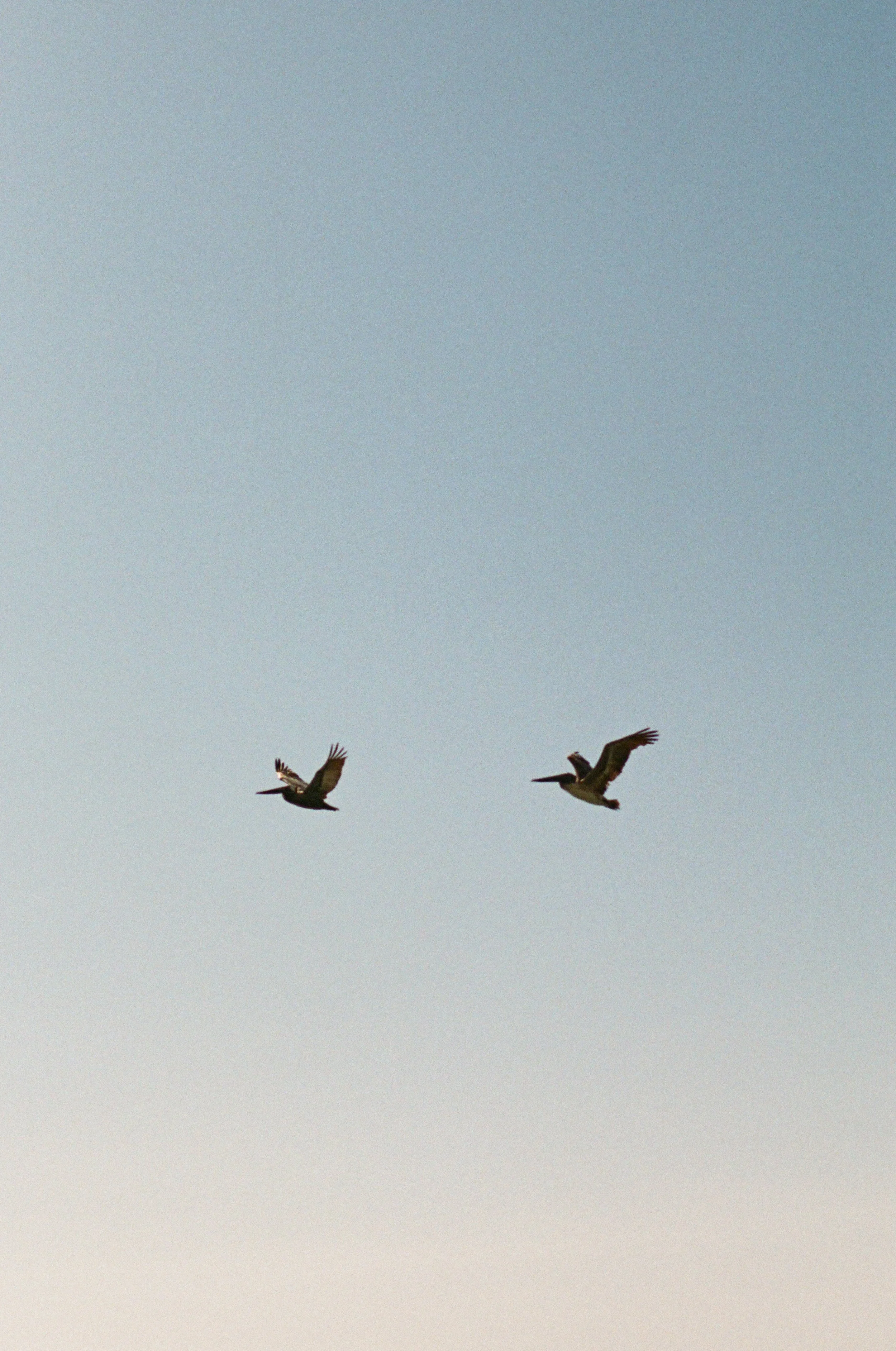 Sama_Photography_FF-000335130031.jpg