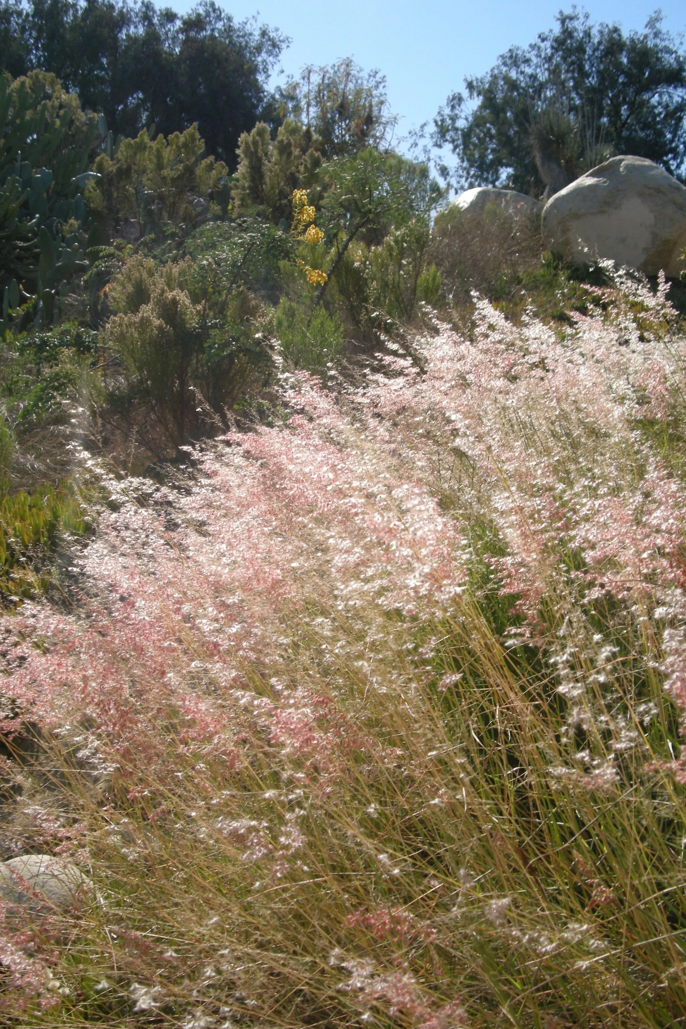 DSCN3416.jpg