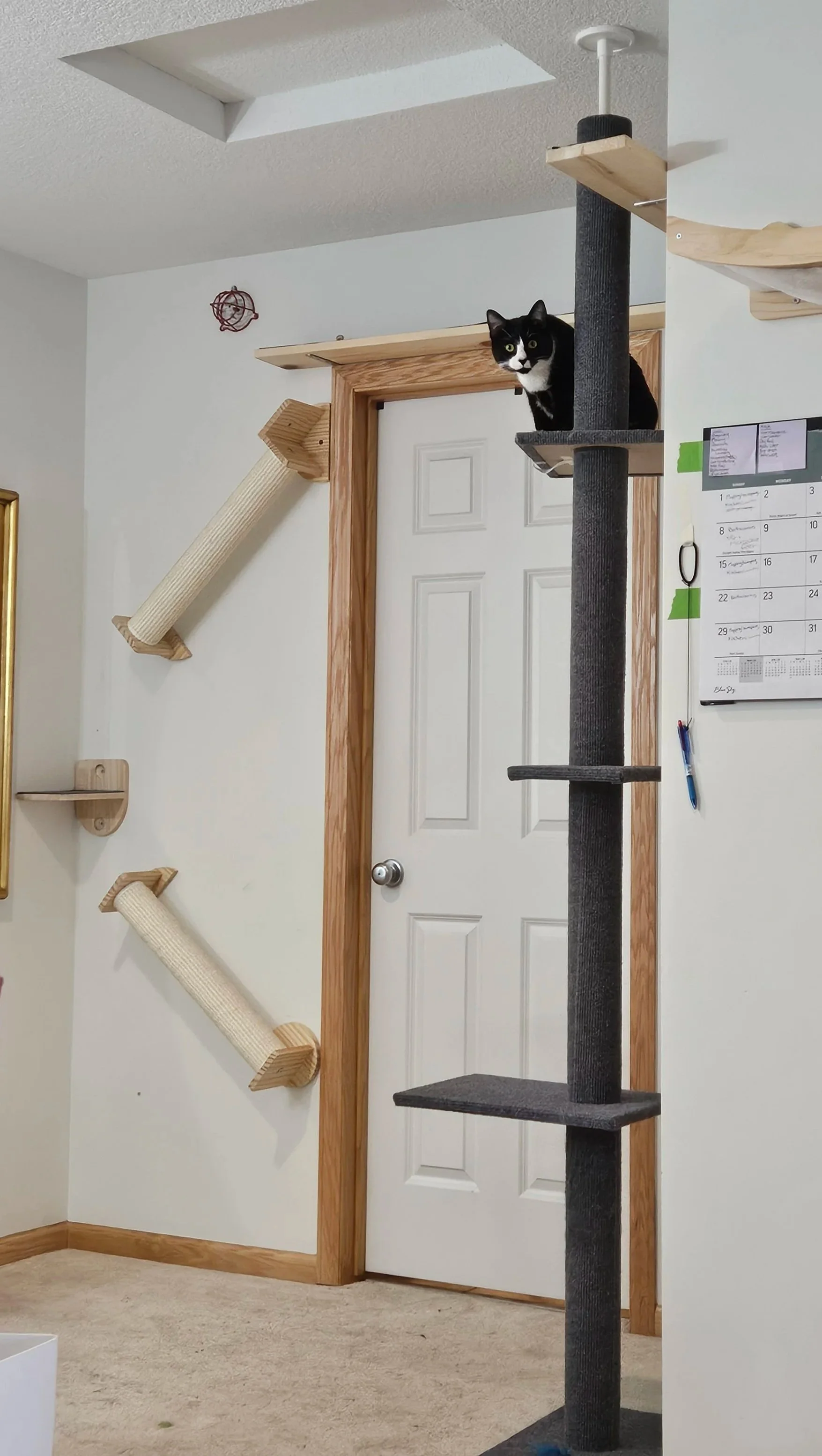 On the left, there are angled, wall mounted scratching posts that lead up to the above-the-doorway walkway. Mel, tuxedo cat, is on the right, on top of a gray floor to ceiling, carpeted cat tree.    