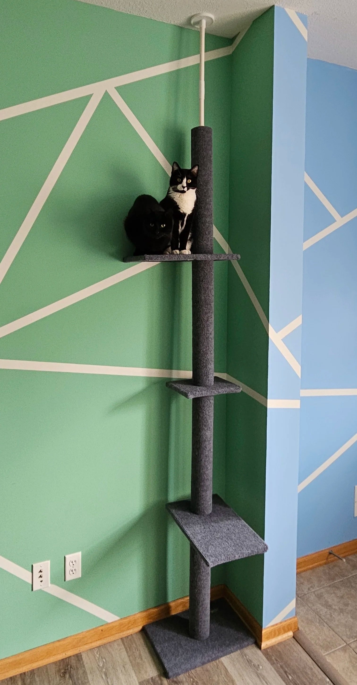 Margot, a black cat, and Mel, a tuxedo cat, sit side by side atop a gray, carpeted cat tree which is secured between the floor and the ceiling.