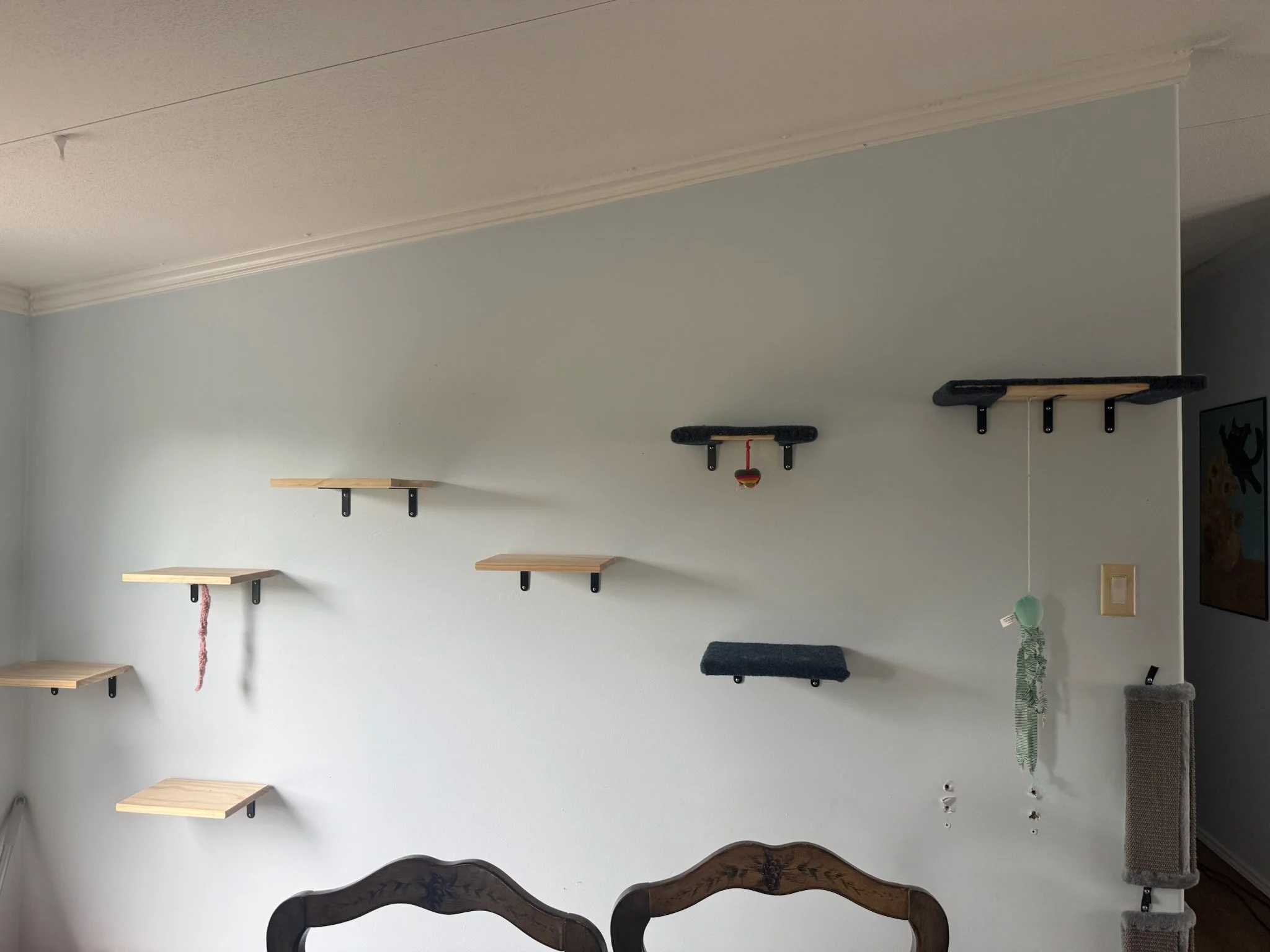 Wall with a variety of shelves for cat enjoyment.