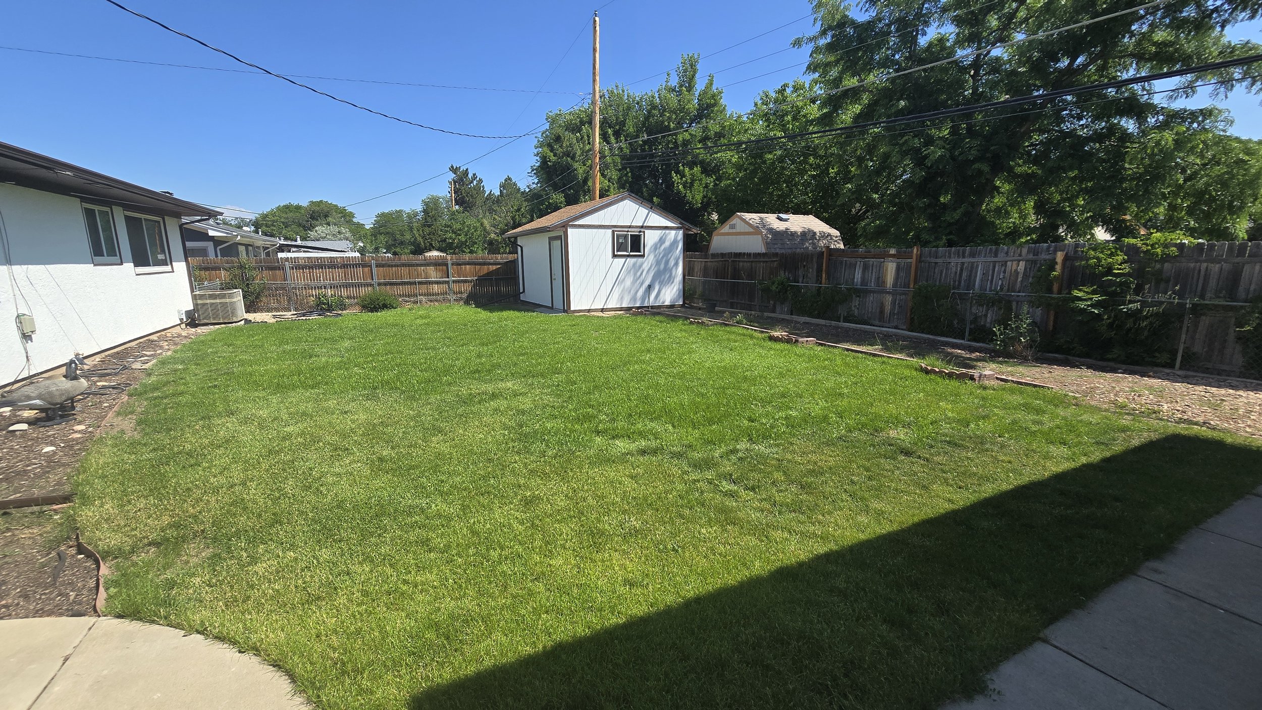Lawn 1.jpg
