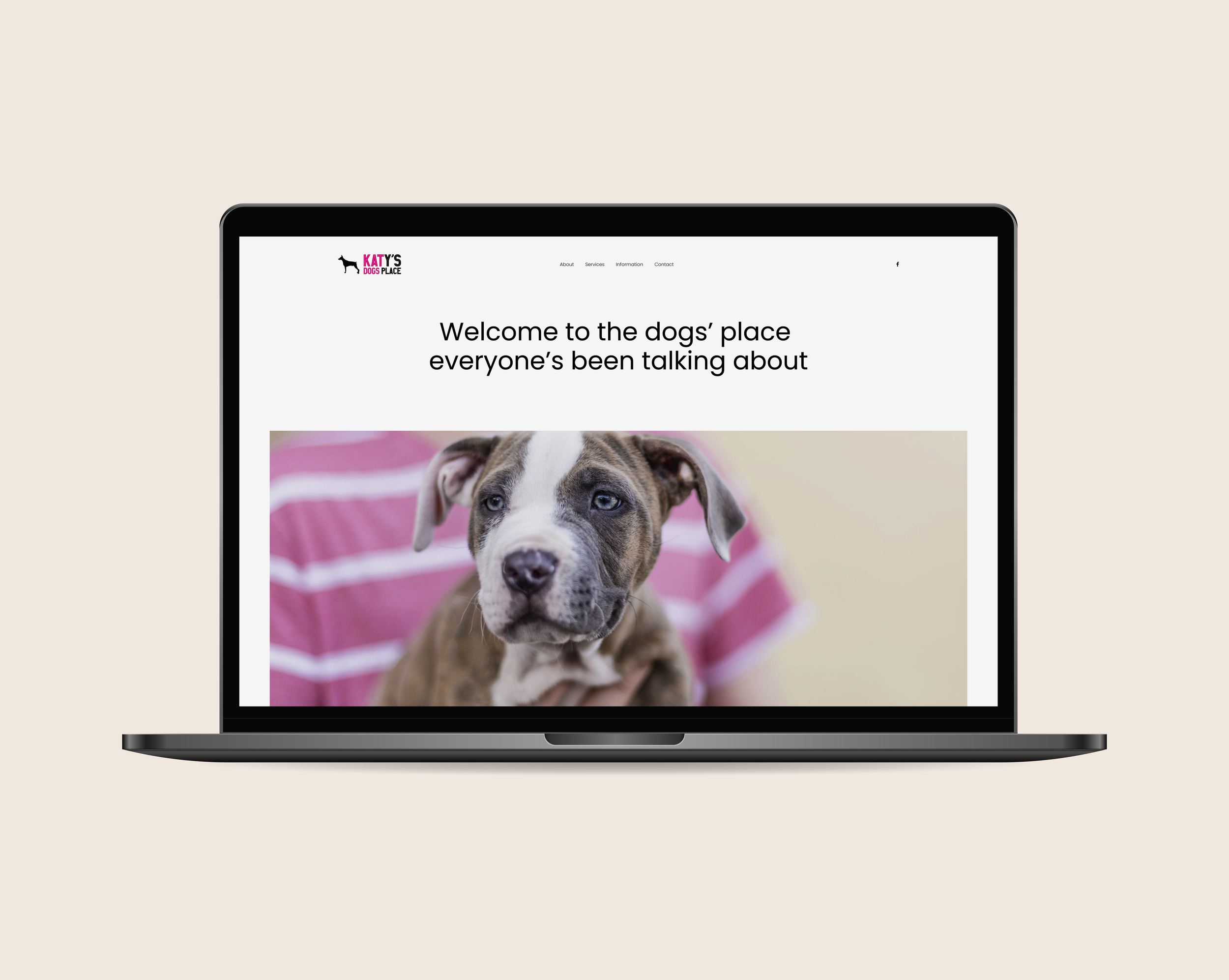 Client Website Homepage