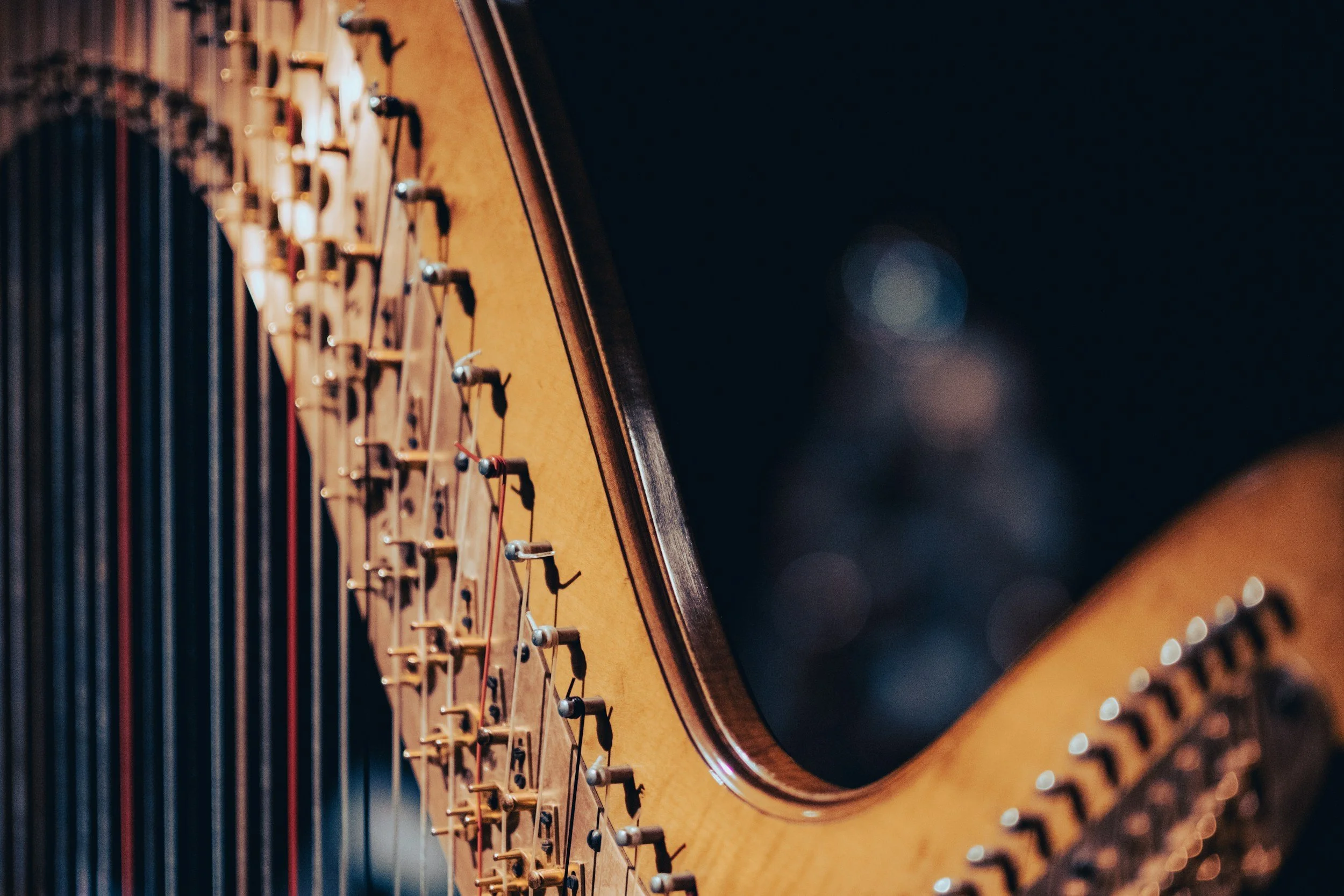 Close-up of a harp and its  strings.
