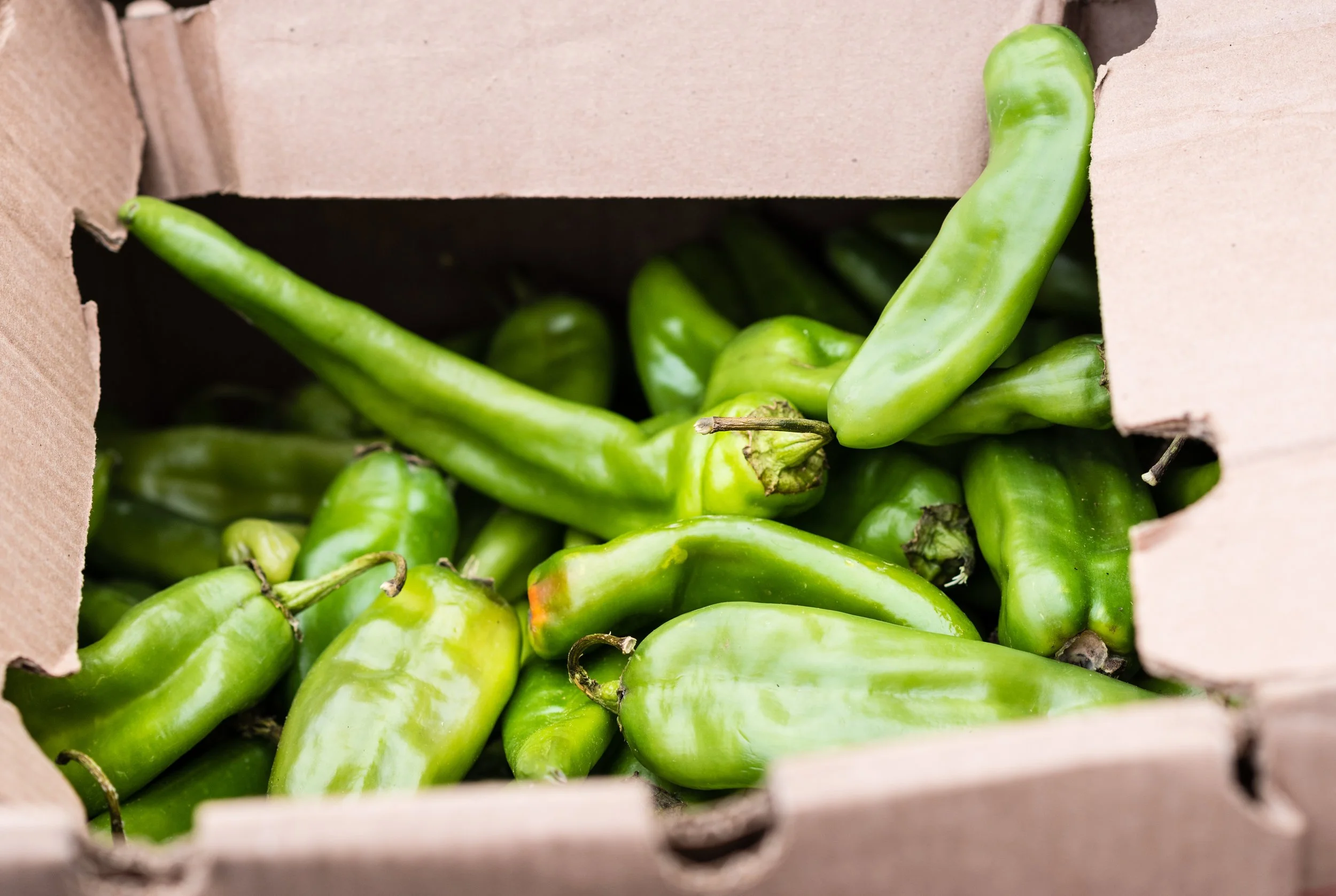 Los+Roast+Green+Chile+2016-4.jpg