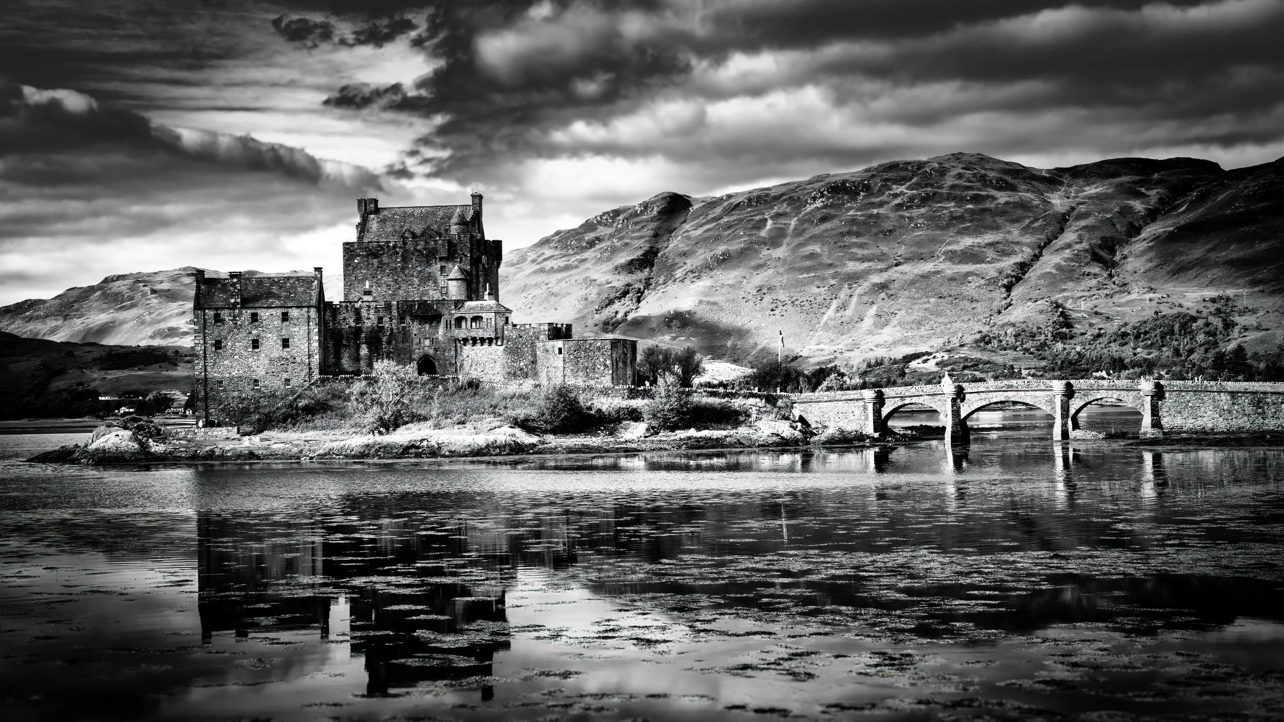 Timeless Guardian of the Loch